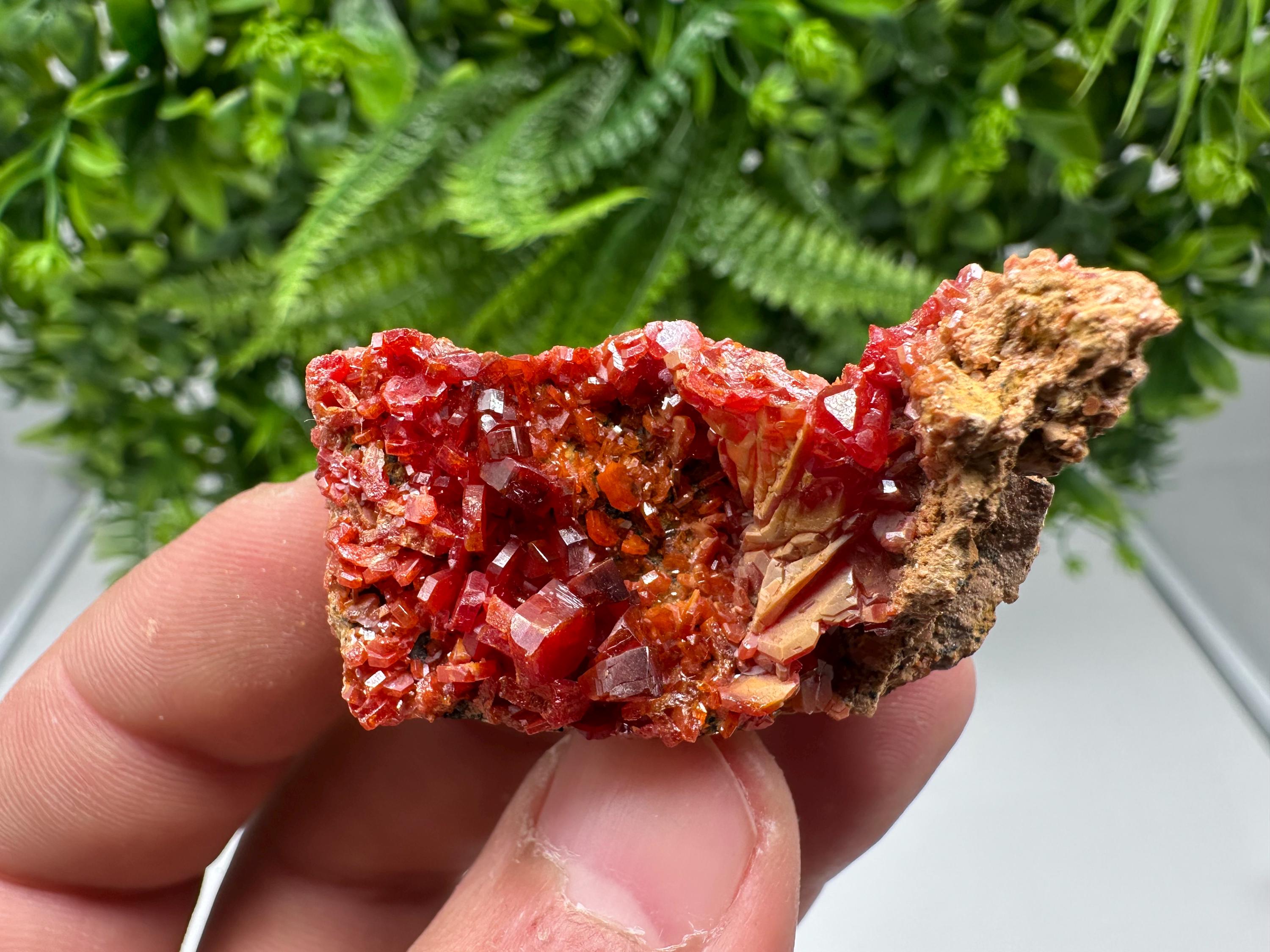 Red Vanadinite on Barite from Marocco,crystal minerals Speciment cluster Vanadinite crystal Vanadinite Geology Vanadinite cluster minerals