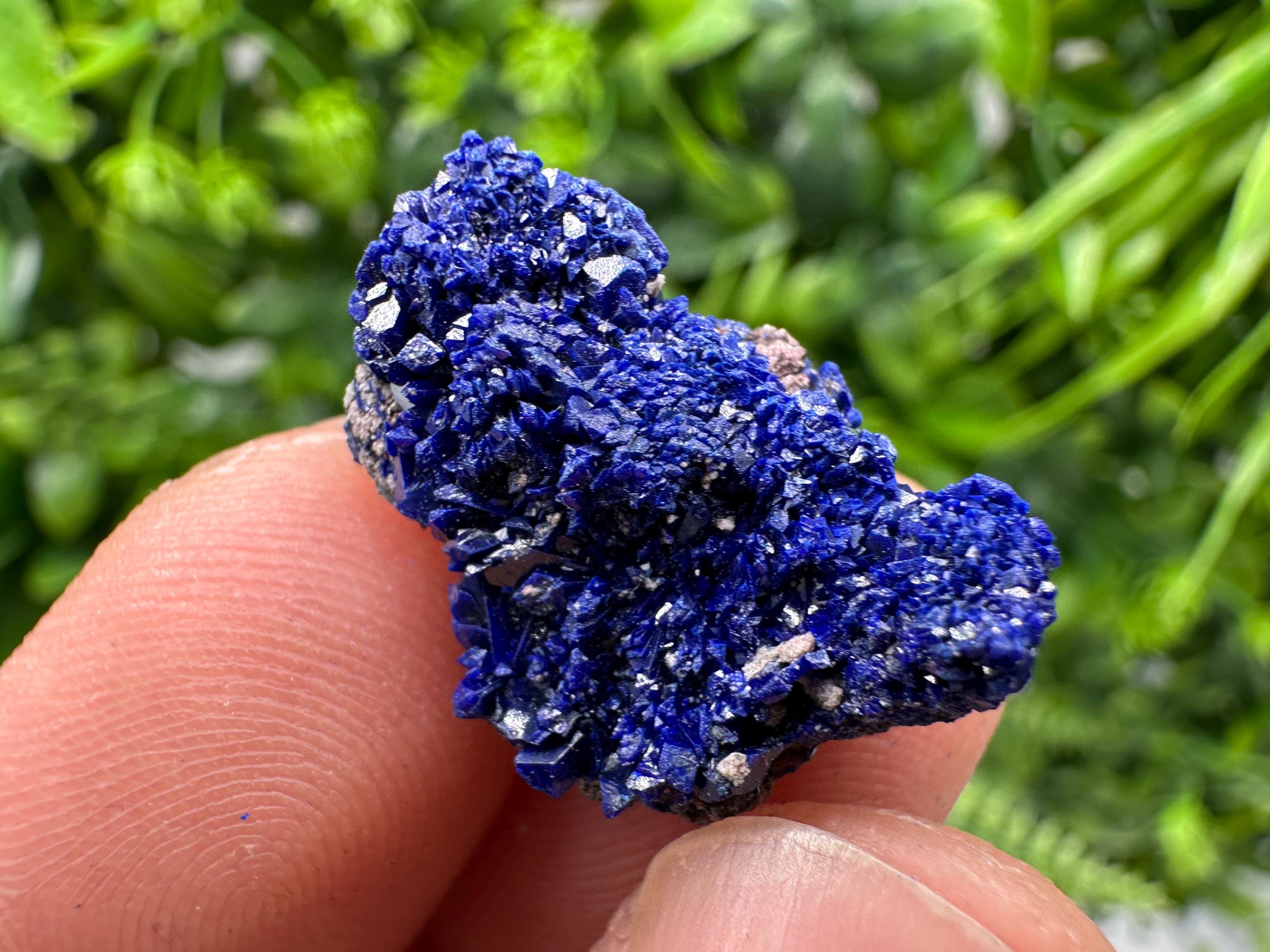 Crystallized Azurite-Kerrouchen,Morocco-Blue Azurite Specimen-High Quality Blue Azurite-Azurite Mineral Specimen, gemmy,lustrous of Azurite