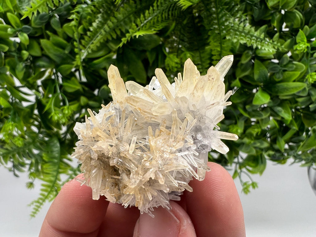 Stunning Quartz from 9 th September mine,Bulgaria,Quartz iron oxide limonite quartz,yellow Quartz,natural collection mineral specimen,home
