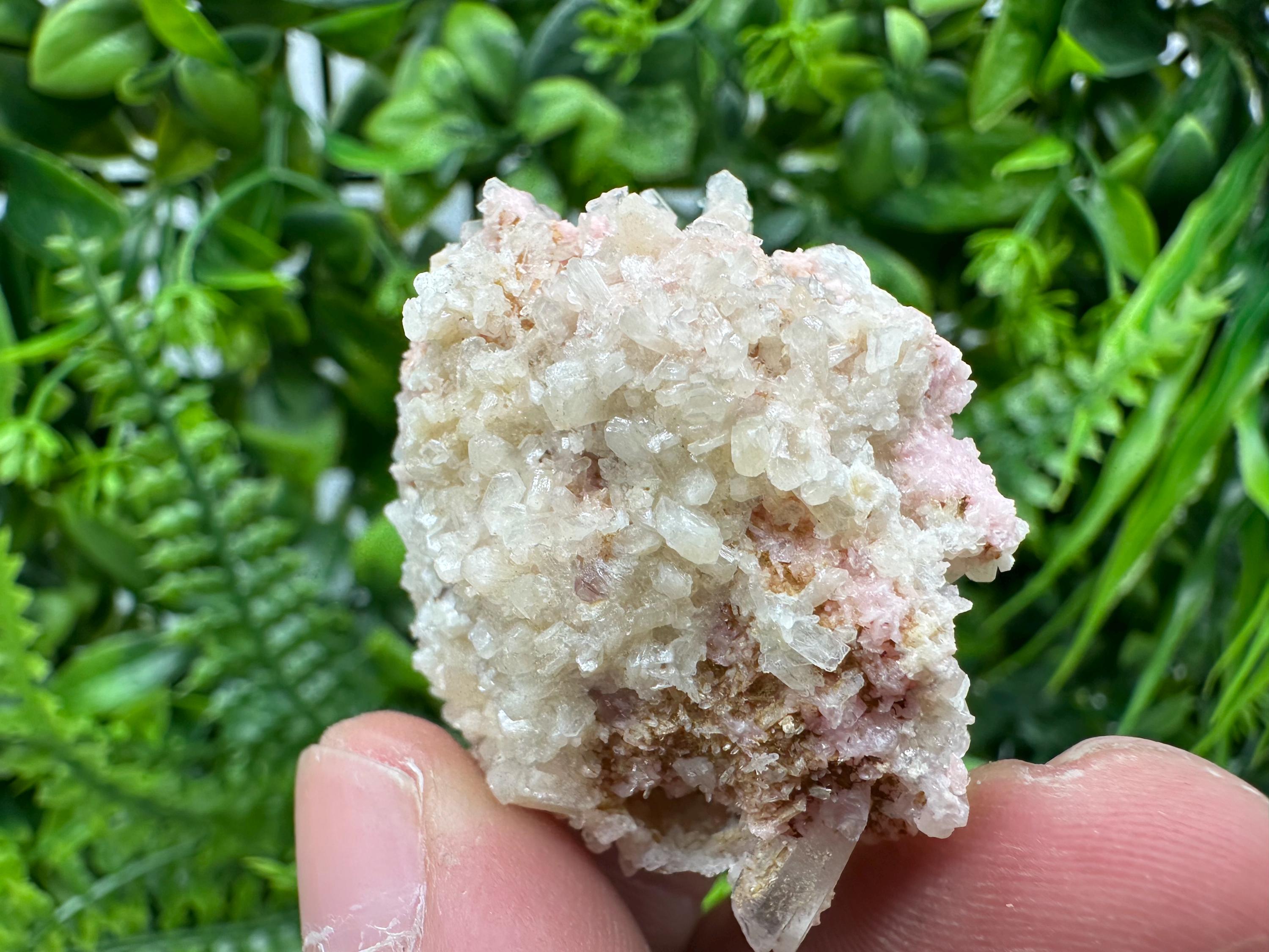 Pink Rhodochrosite Crystal: Starnica Mine, Bulgaria