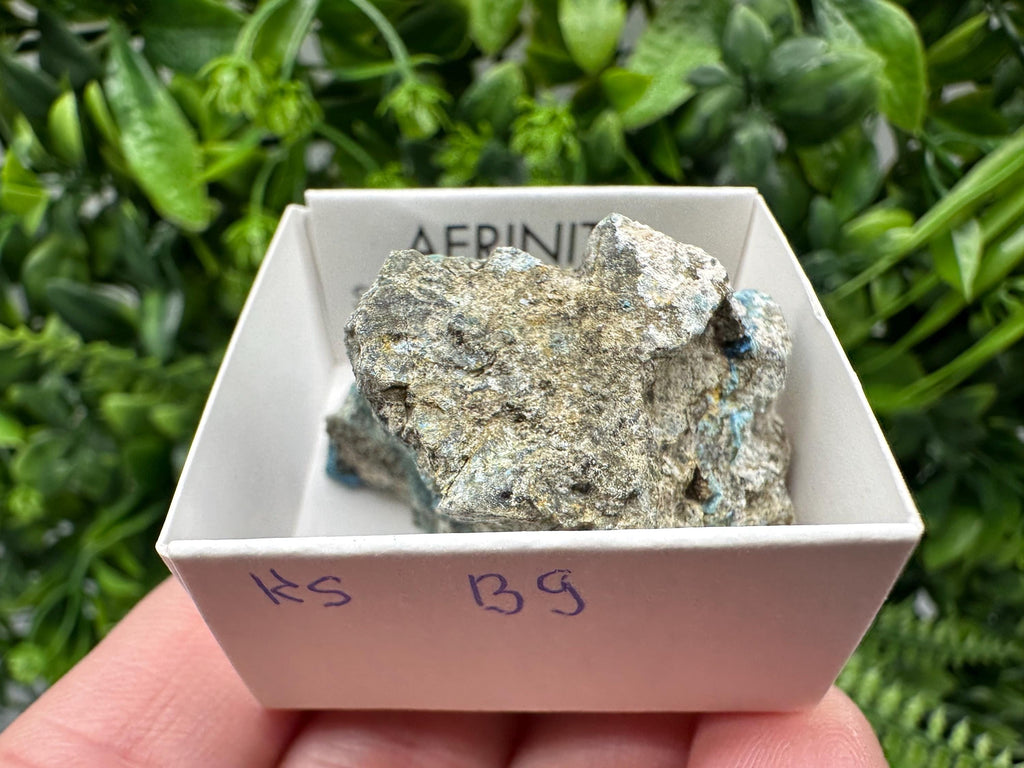 Rare Raw Aerinite Mineral Specimen: Lleida, Spain Crystal