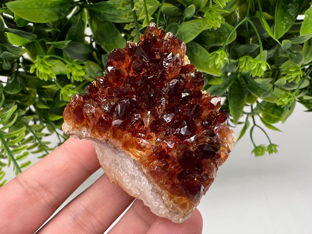Brazilian Citrine Crystal Cluster, Hematite Inclusions