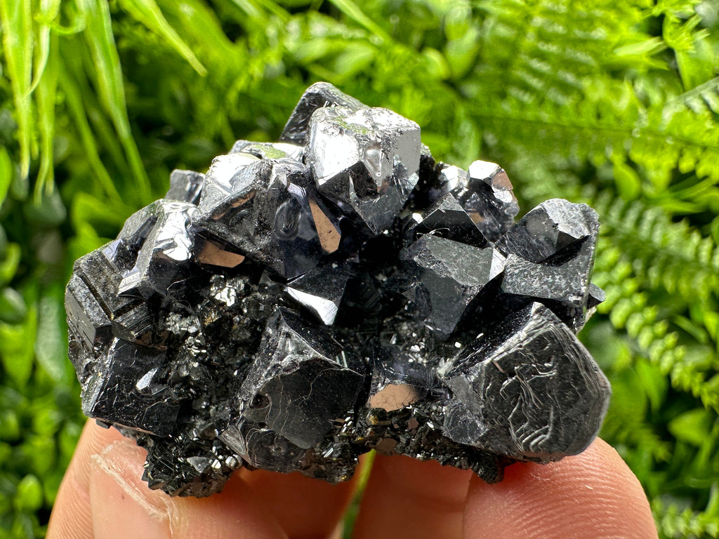 Galena on Sphalerite Specimen - Borieva Mine, Bulgaria