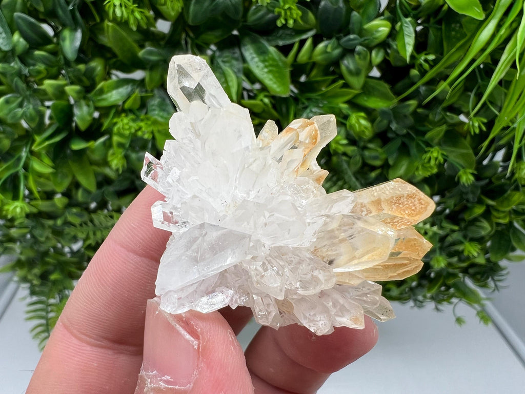 Stunning Quartz covered whit iron oxide limonite natural minerals souvenir crystal home decor stone collection minerals 9 th September mine