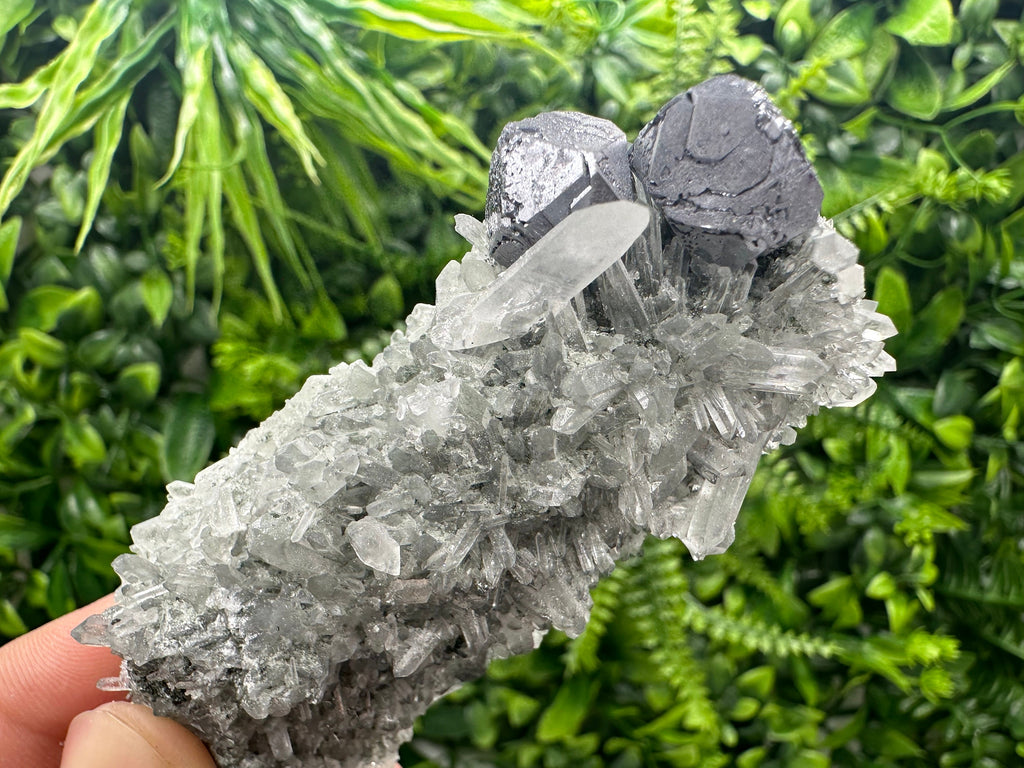 Shiny Galena on Green Quartz with Chlorite Inclusions - Borieva Mine