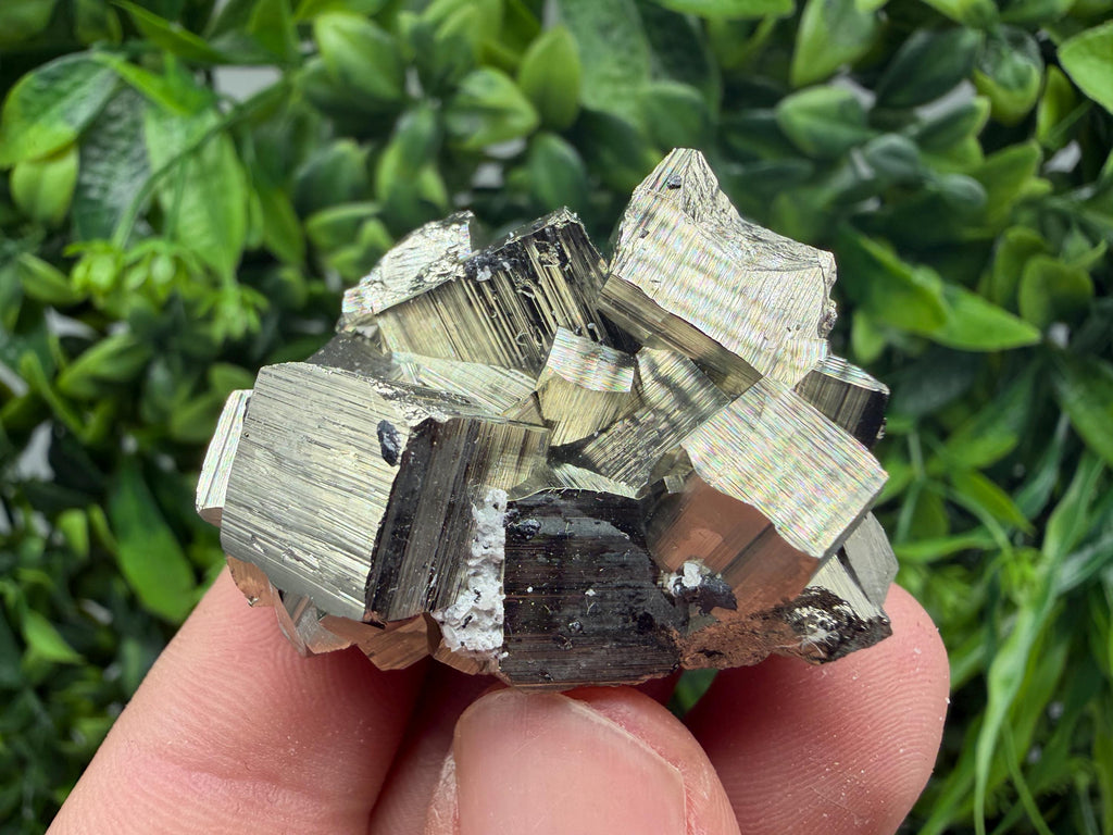 Rare Floating Pyrite Cluster, Fool’s Gold Crystal Decor