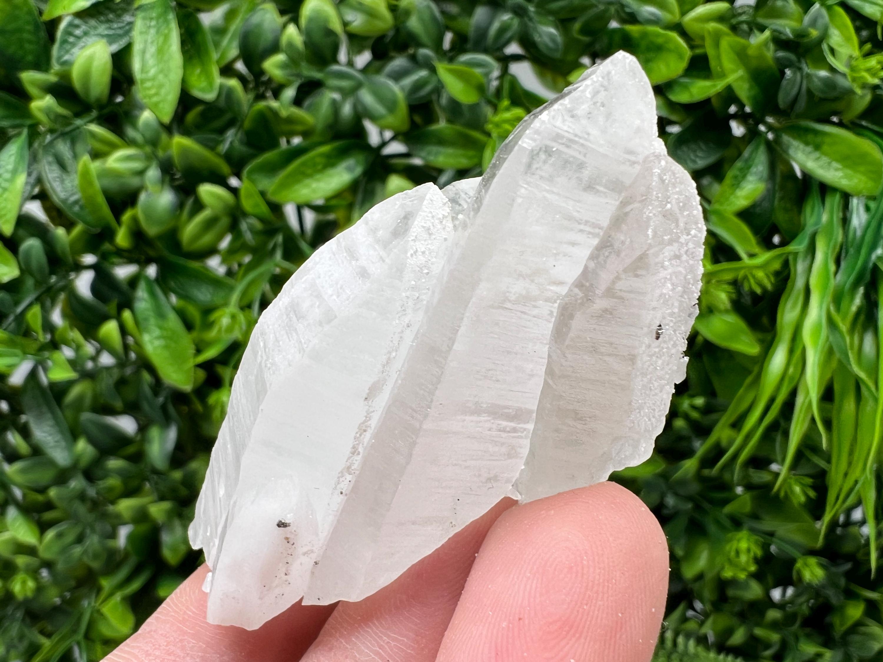 Quartz with Pyrite Mineral Specimen: Krushev dol, Bulgaria