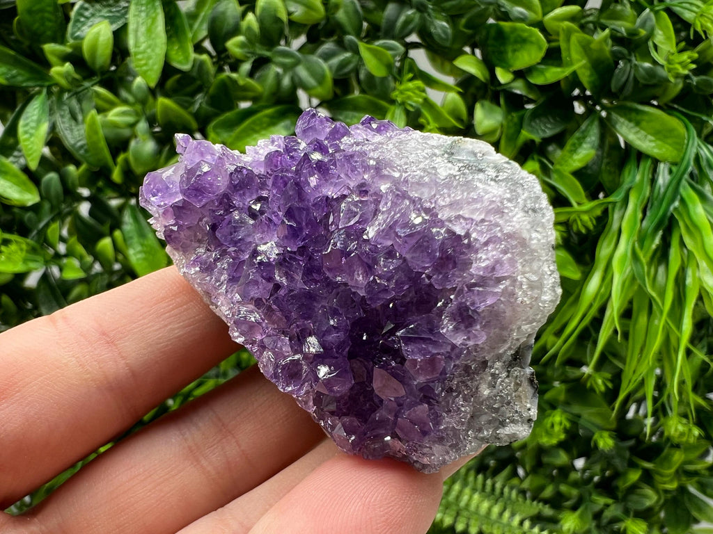 Uruguay Amethyst Crystal: Purple Quartz Phantom - Home Decor