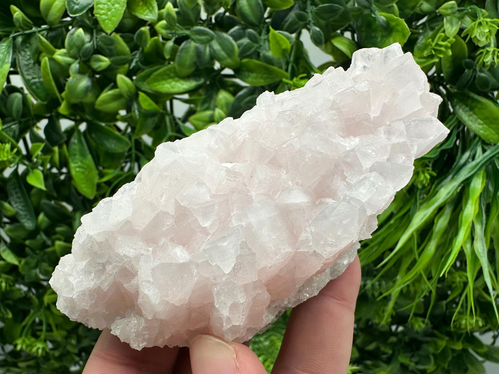 UV Reactive Mangano Calcite Crystal: Androvo Mine, Bulgaria