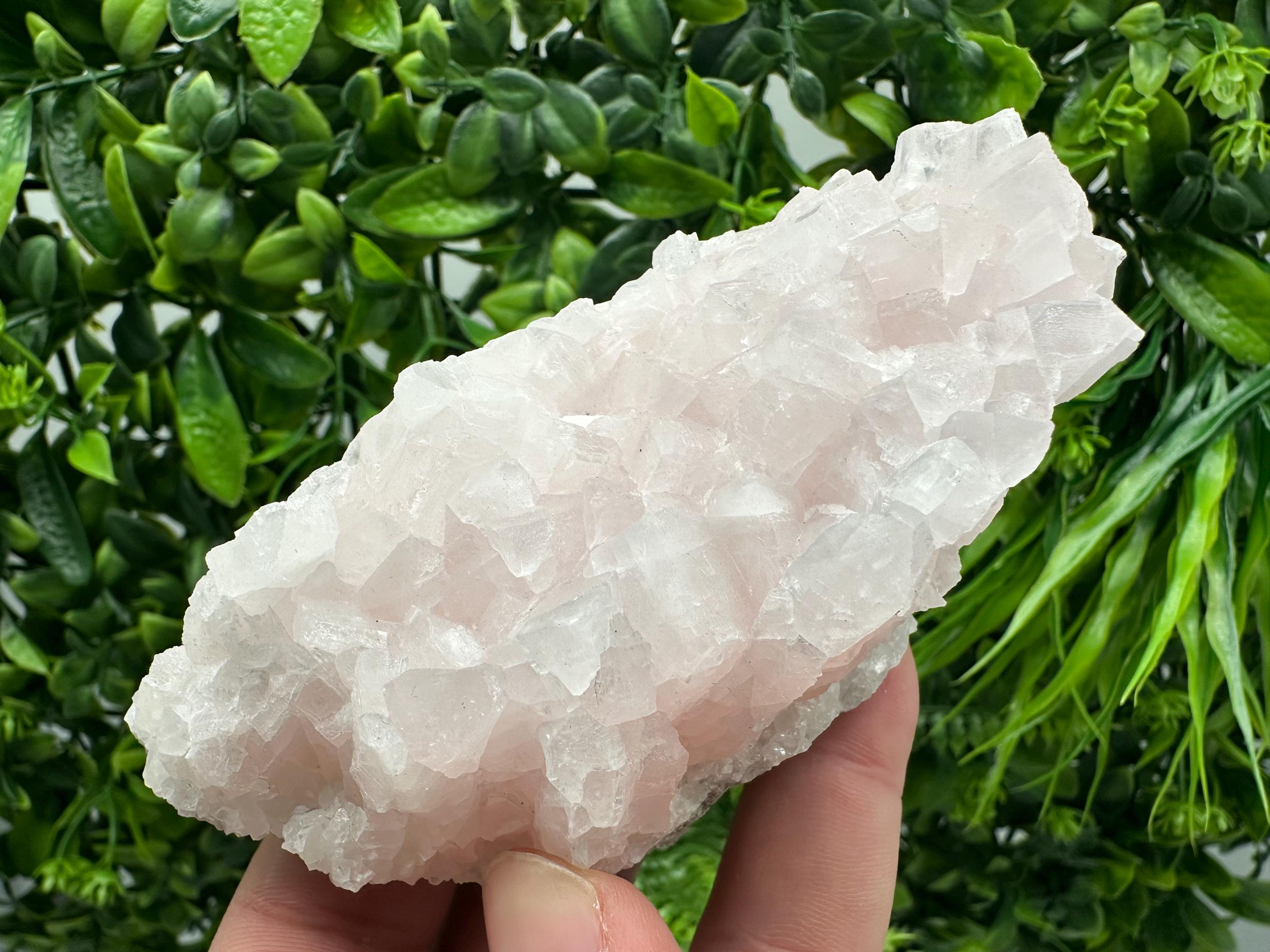 UV Reactive Mangano Calcite Crystal: Androvo Mine, Bulgaria