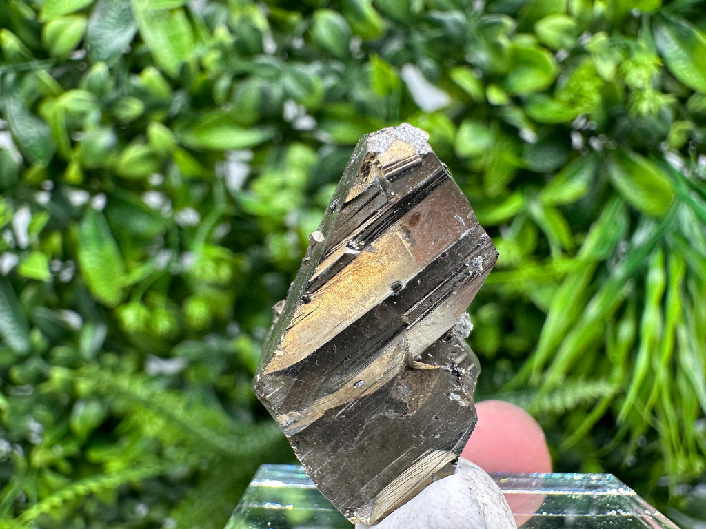 Mini Rainbow Pyrite Cluster: Borieva Mine, Bulgaria