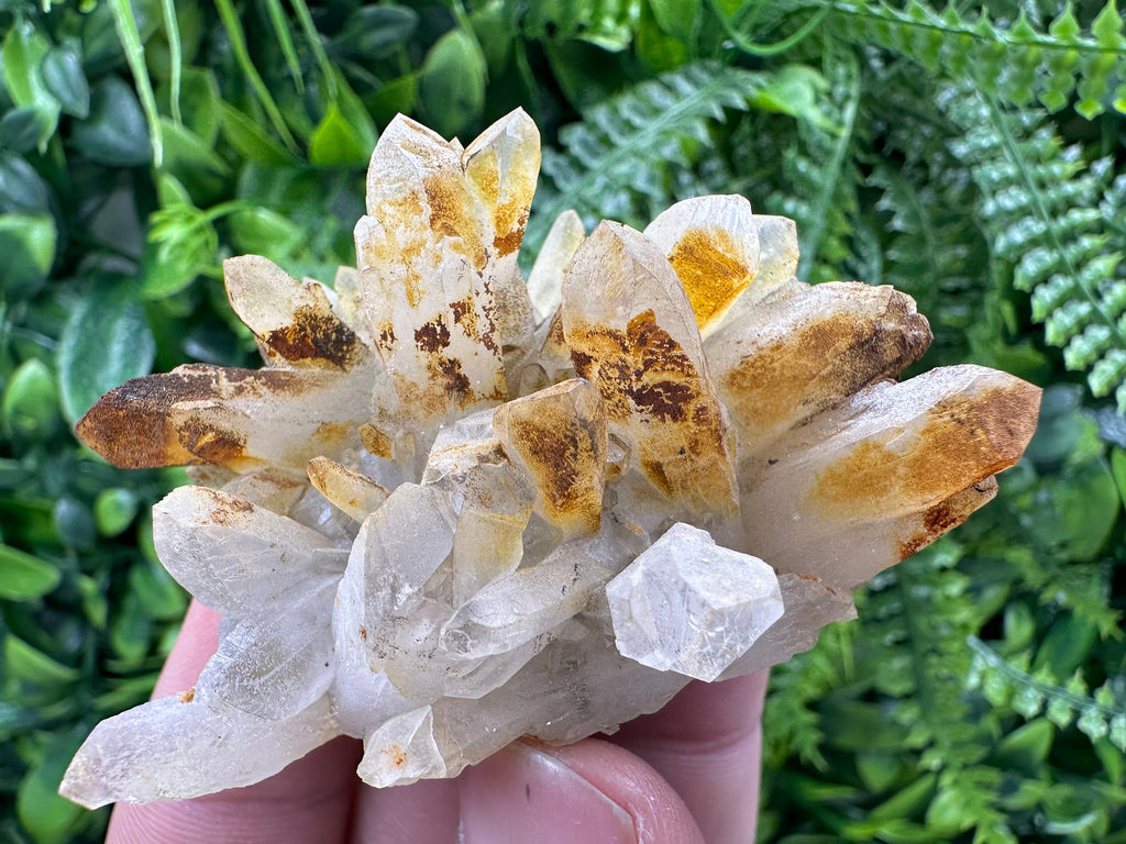 Limonite Coated Quartz Crystal - Natural Mineral Specimen