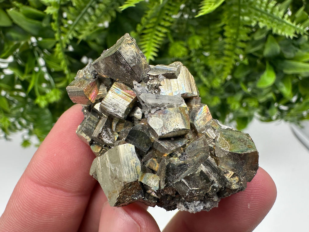 Rare Rainbow Pyrite Cluster: Borieva Mine, Bulgaria