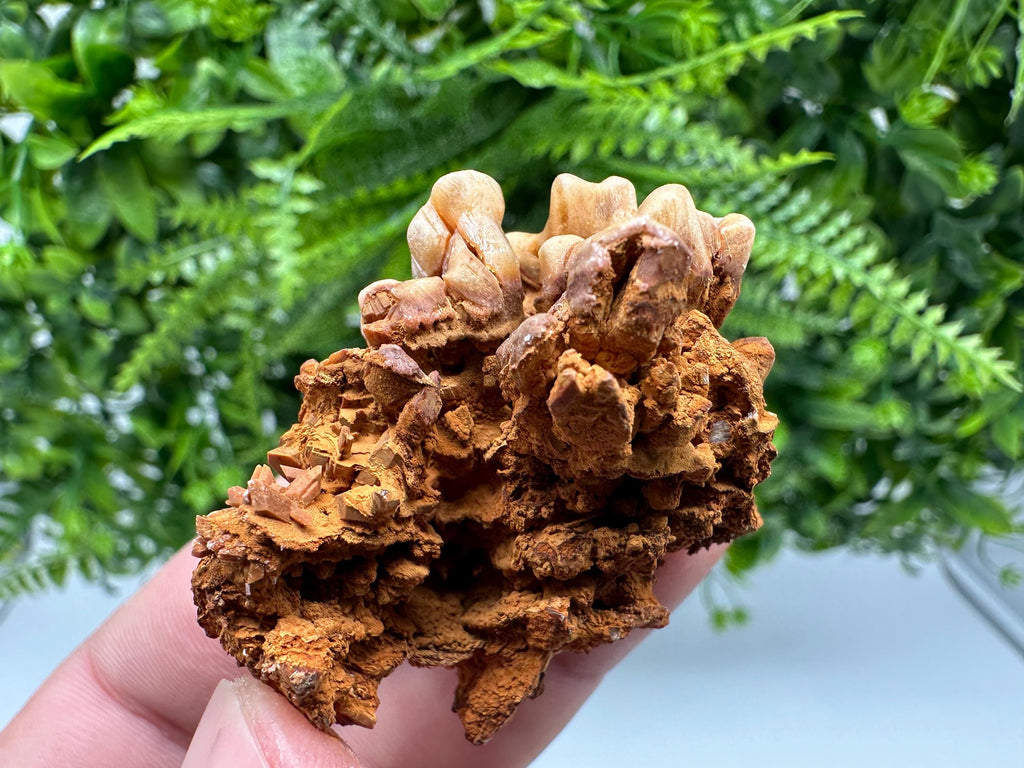 Brown Gypsum Selenite Crystal, Rudna Mine Mineral Specimen