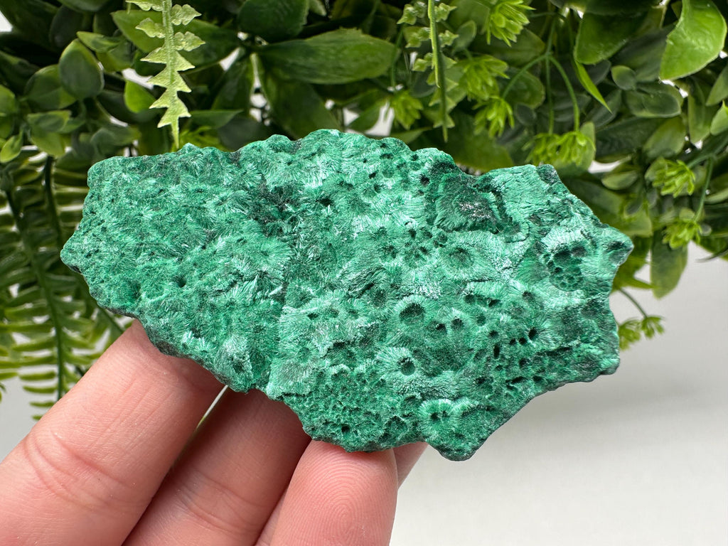 Polished Green Malachite Crystal from Congo, Natural Mineral Specimen, Chakra Stone