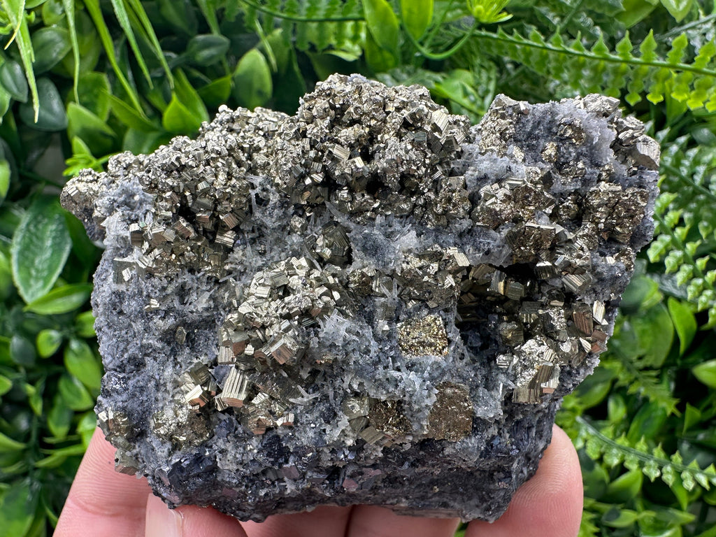 Pyrite on Quartz: Borieva Mine Crystal Decor (9/7/4.5cm)