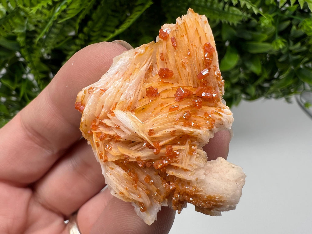 Red Vanadinite on Barite, Morocco Crystal Mineral Specimen