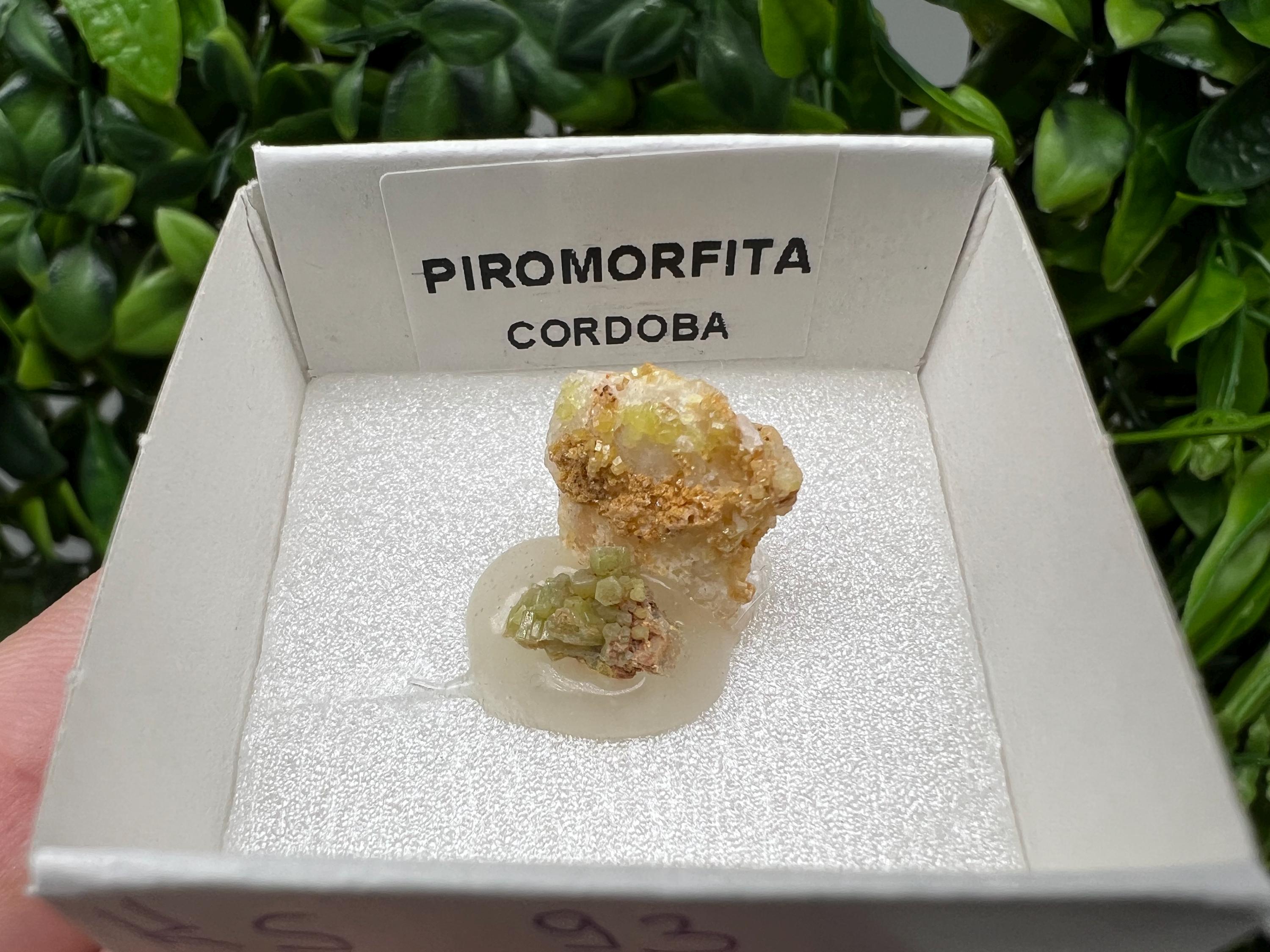 Pyromorphite Stone / Pyromorphite on Matrix / Pyromorphite Crystal / Raw Crystal / Pyromorphite Cluster / Rough Pyromorphite / Pyromorphite