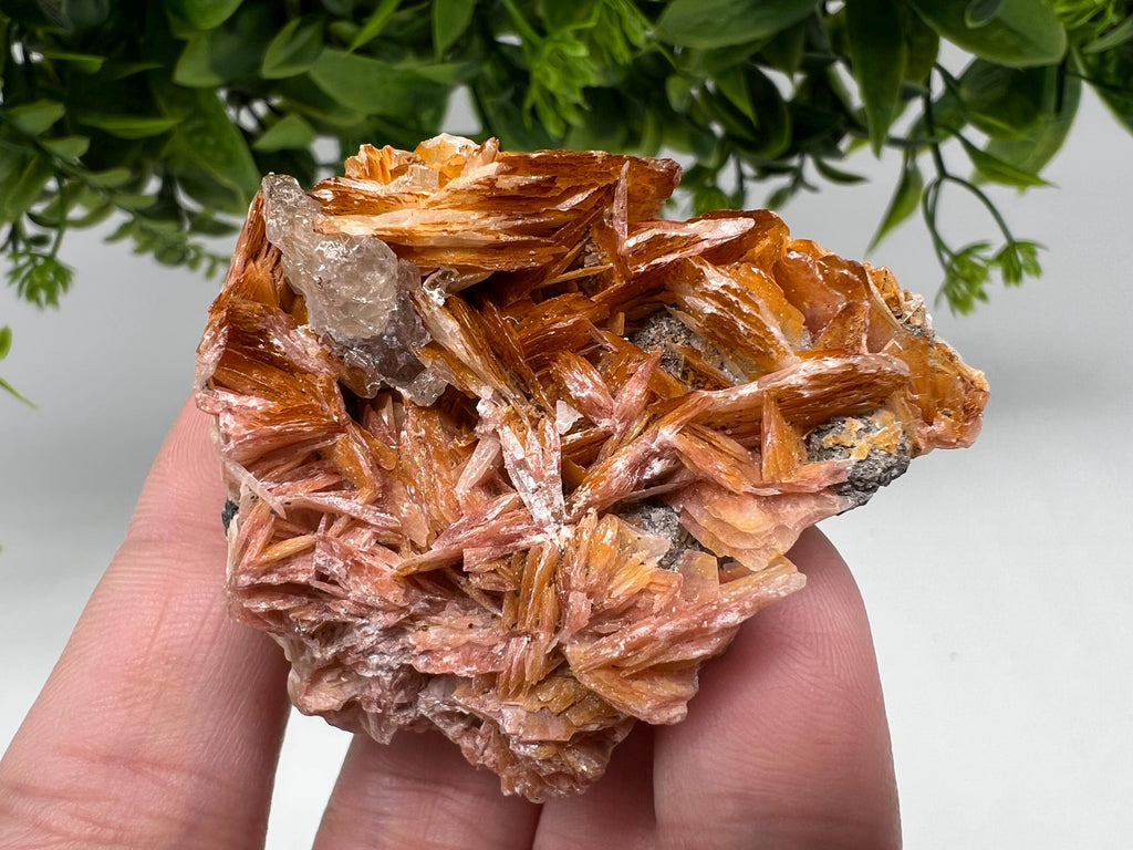 Wonderful Baryte with Cerussite on Galena from Morocco,Crystal, Mineral,Specimen,Cluster,Crystals,Barite Crystal,Cerussite Crystal,Specimen