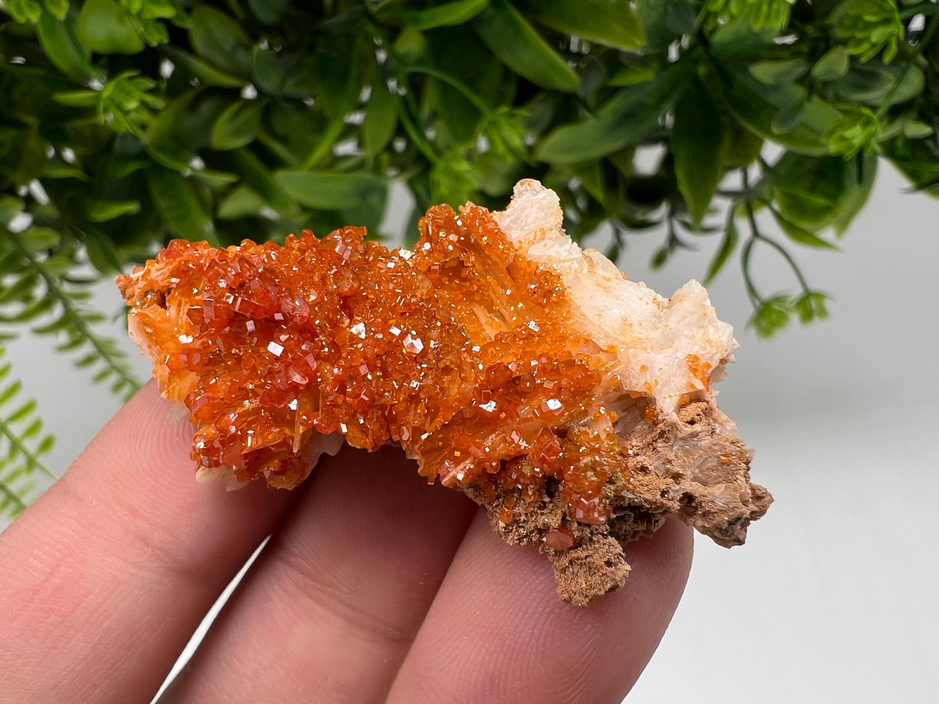 Red Vanadinite on Barite from Marocco,crystal minerals Speciment cluster Vanadinite crystal Vanadinite Geology Vanadinite cluster minerals