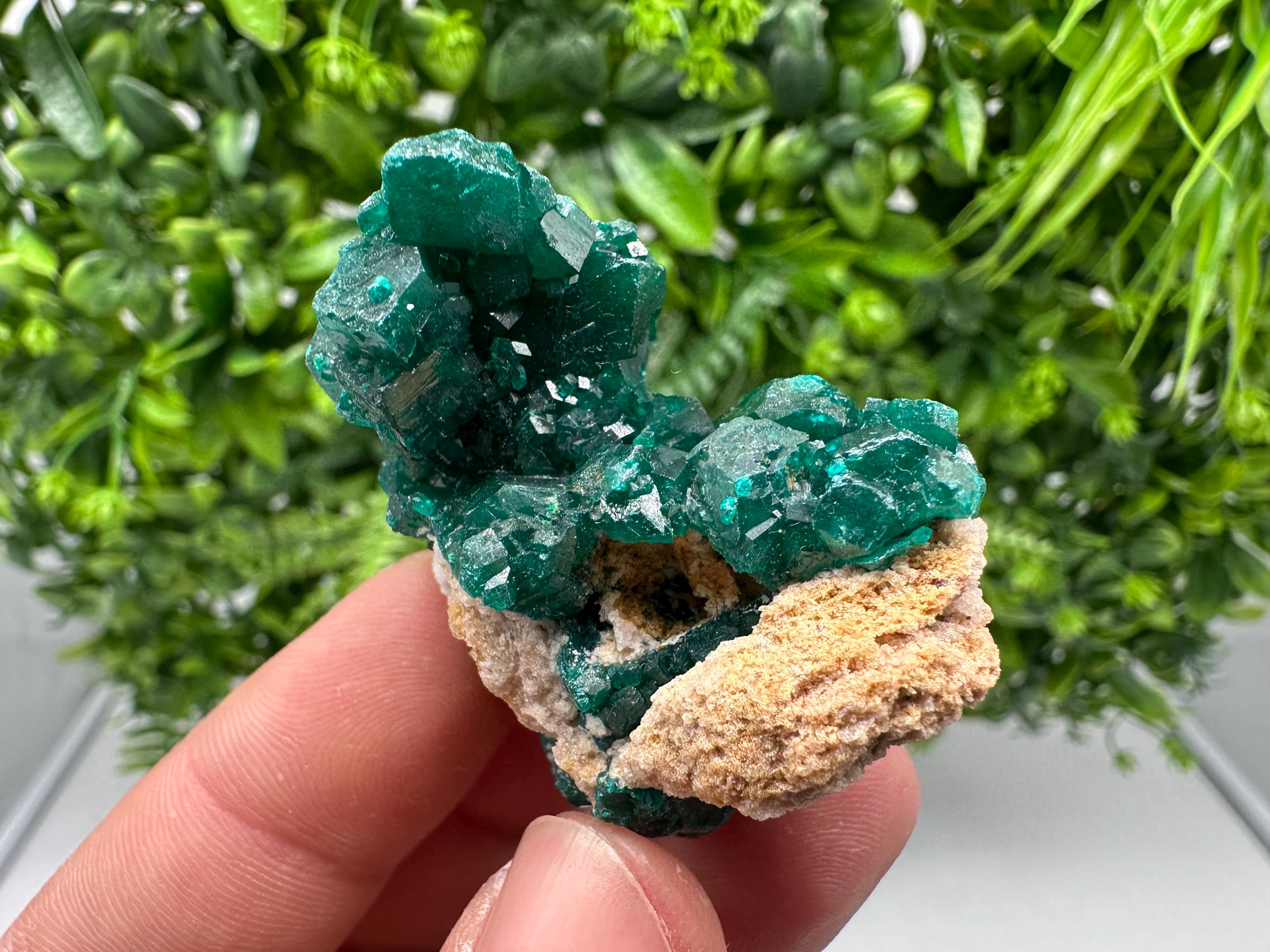 Stunning Green Dioptase from Sanda Hills,Mindouli,Pool Department,Mindouli District,Congo,green Dioptase,Dioptas Crystal,Dioptase collecting