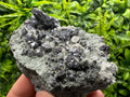 Galena Sphalerite Pyrite on Quartz, Madan Bulgaria Mineral Decor