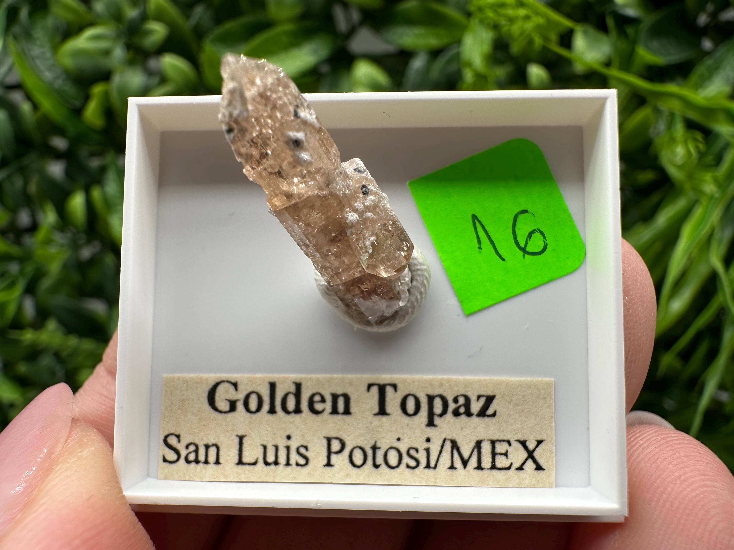 Golden Topaz Crystal, Mineral Specimen from Mexico
