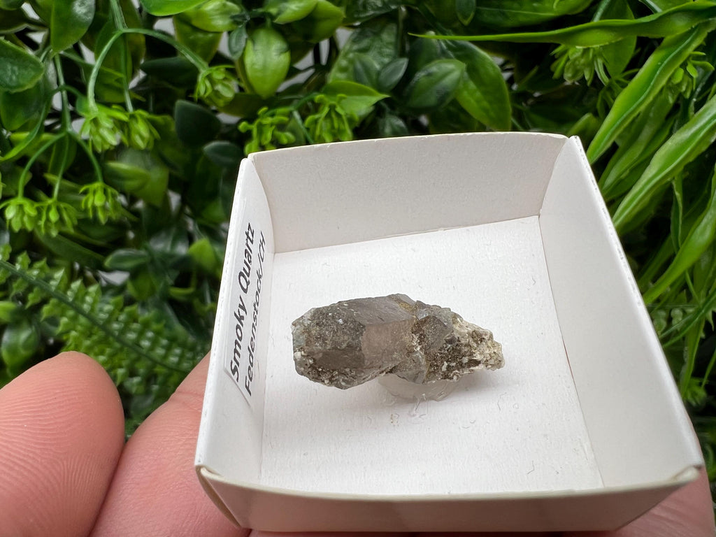 Rare Fedenstock Smoky Quartz, Swiss Mineral Specimen