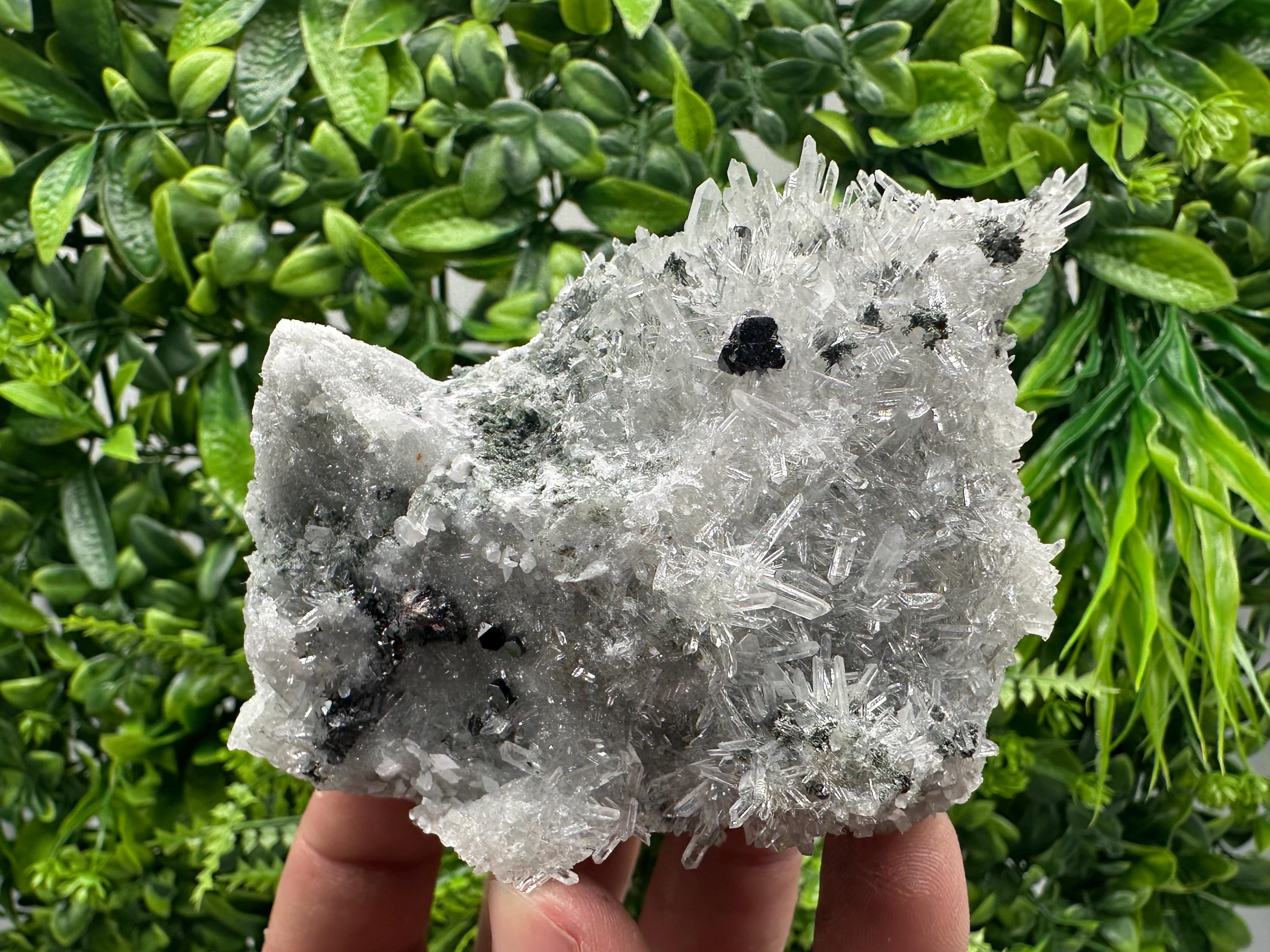 Sphalerite on Green Quartz, Borieva Mine Mineral Specimen