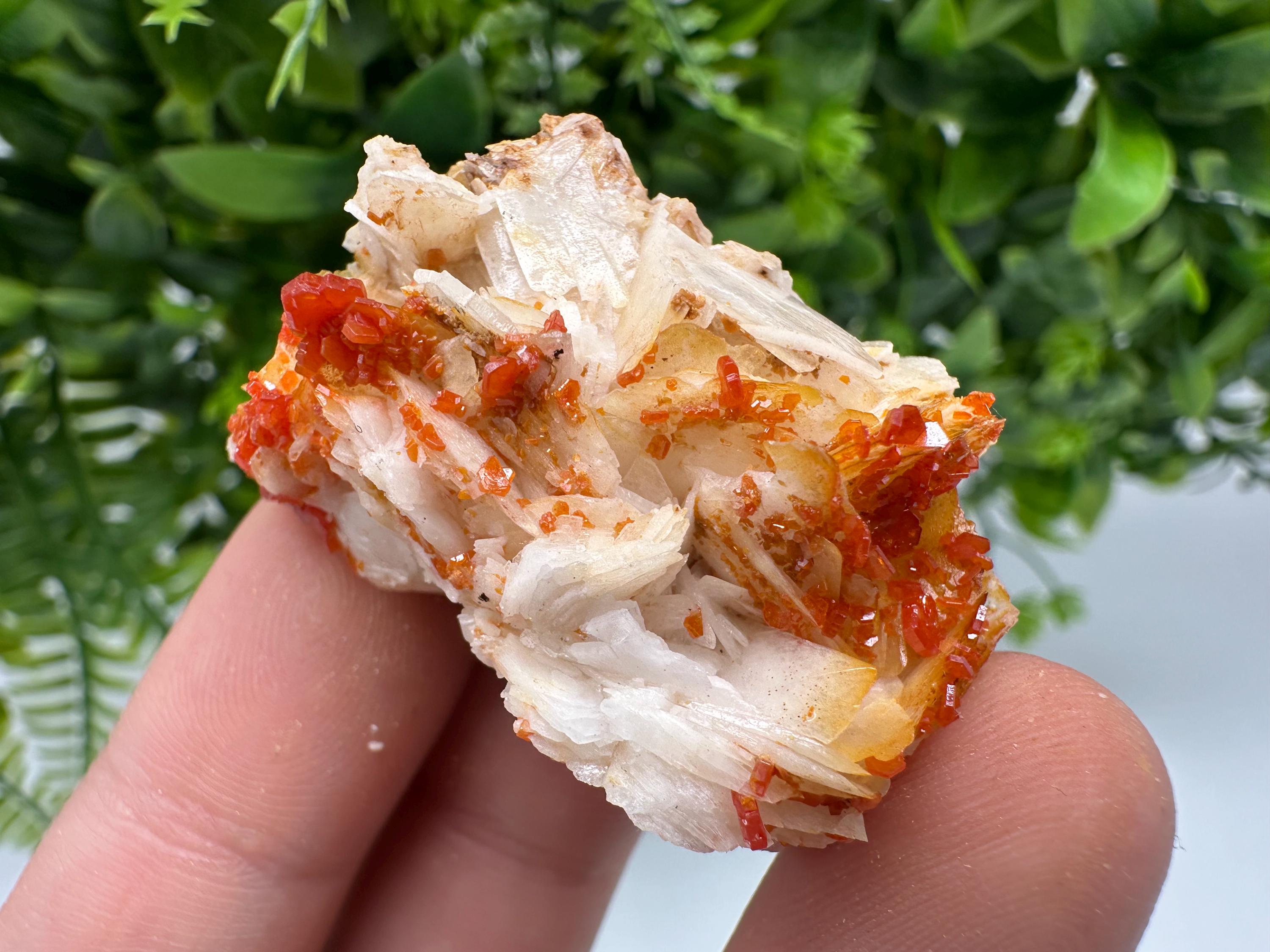 Red Vanadinite on Barite from Marocco,crystal minerals Speciment cluster Vanadinite crystal Vanadinite Geology Vanadinite cluster minerals