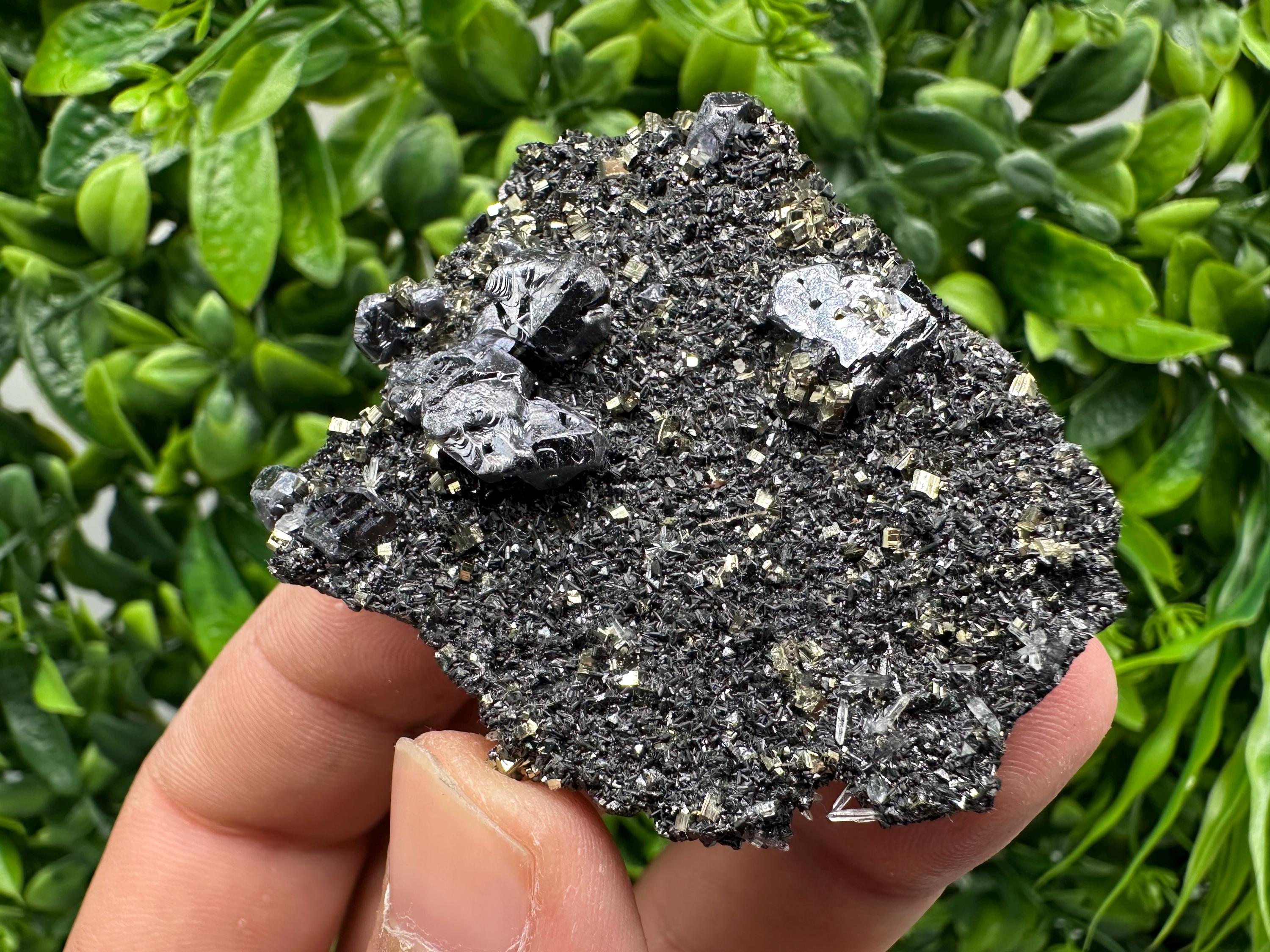 Galena Sphalerite Pyrite Crystal, Borieva Mine, Bulgaria