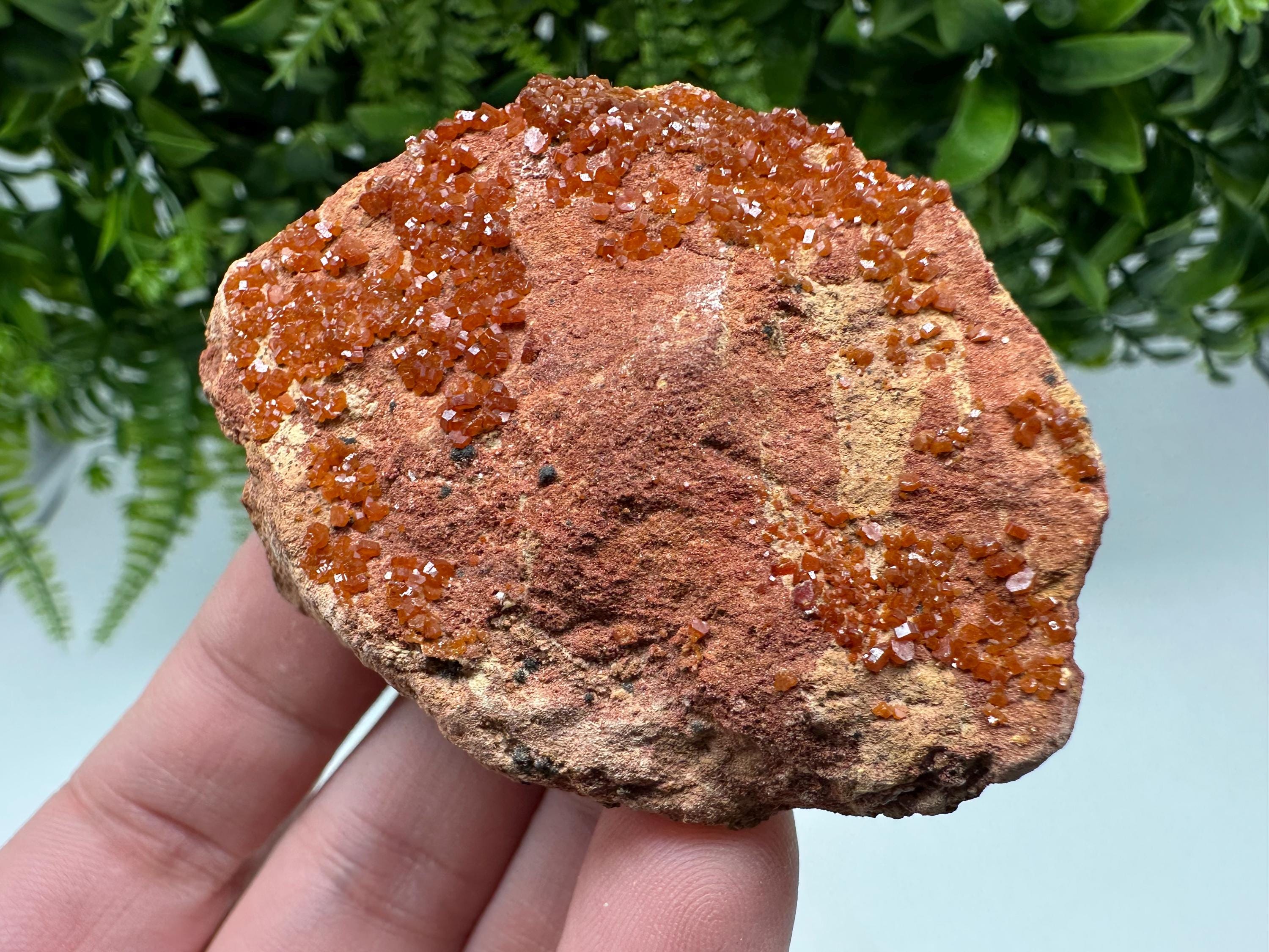 Red Vanadinite on Matrix from Marocco,crystal minerals Speciment cluster Vanadinite crystal Vanadinite Geology Vanadinite cluster minerals