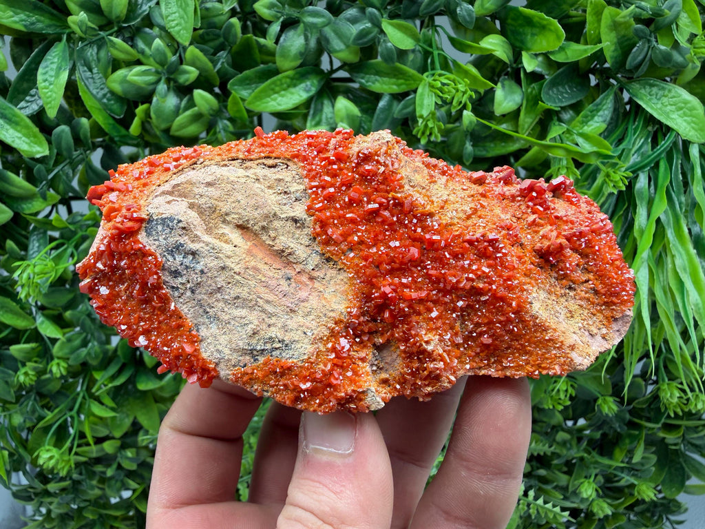 Red Vanadinite on Matrix from Marocco,crystal minerals Speciment cluster Vanadinite crystal Vanadinite Geology Vanadinite cluster minerals