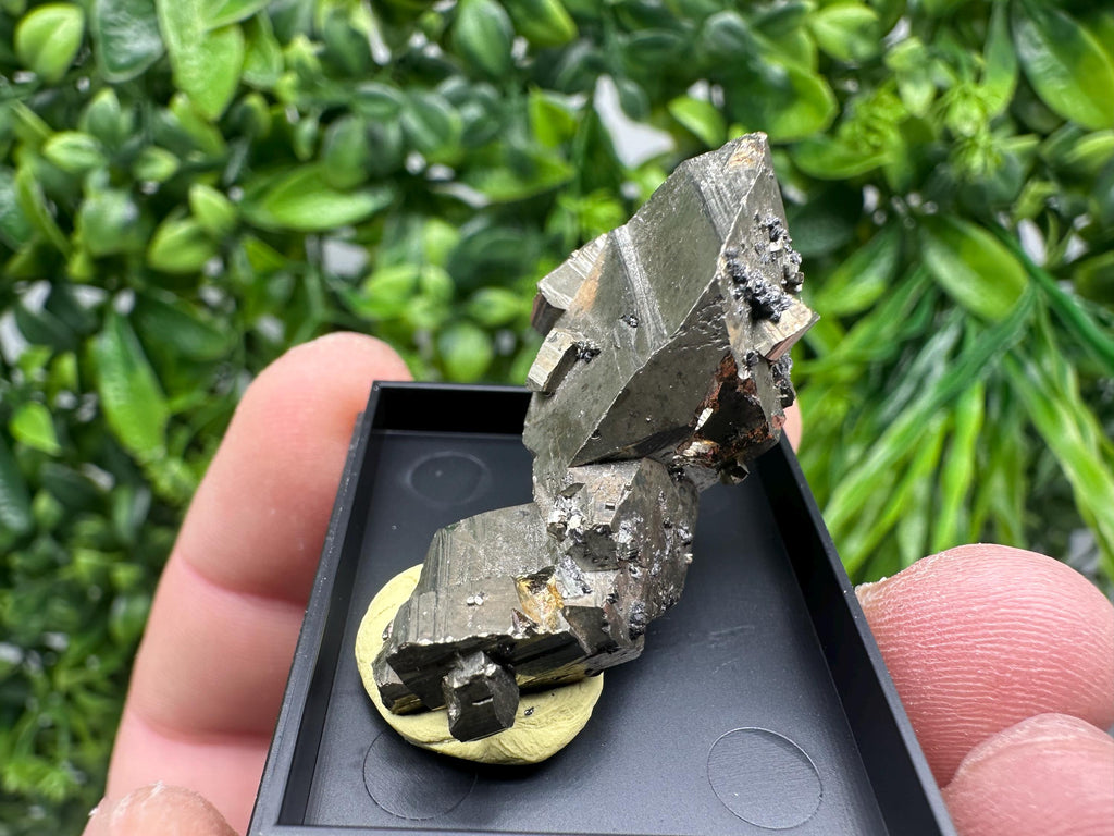 Rare Crystallized Pyrite Cluster - Borieva Mine, Bulgaria