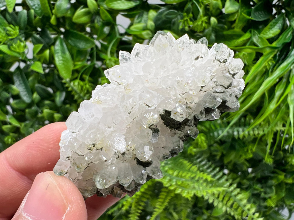 Transparent Quartz on Chlorite Matrix, Borieva Mine Mineral Specimen