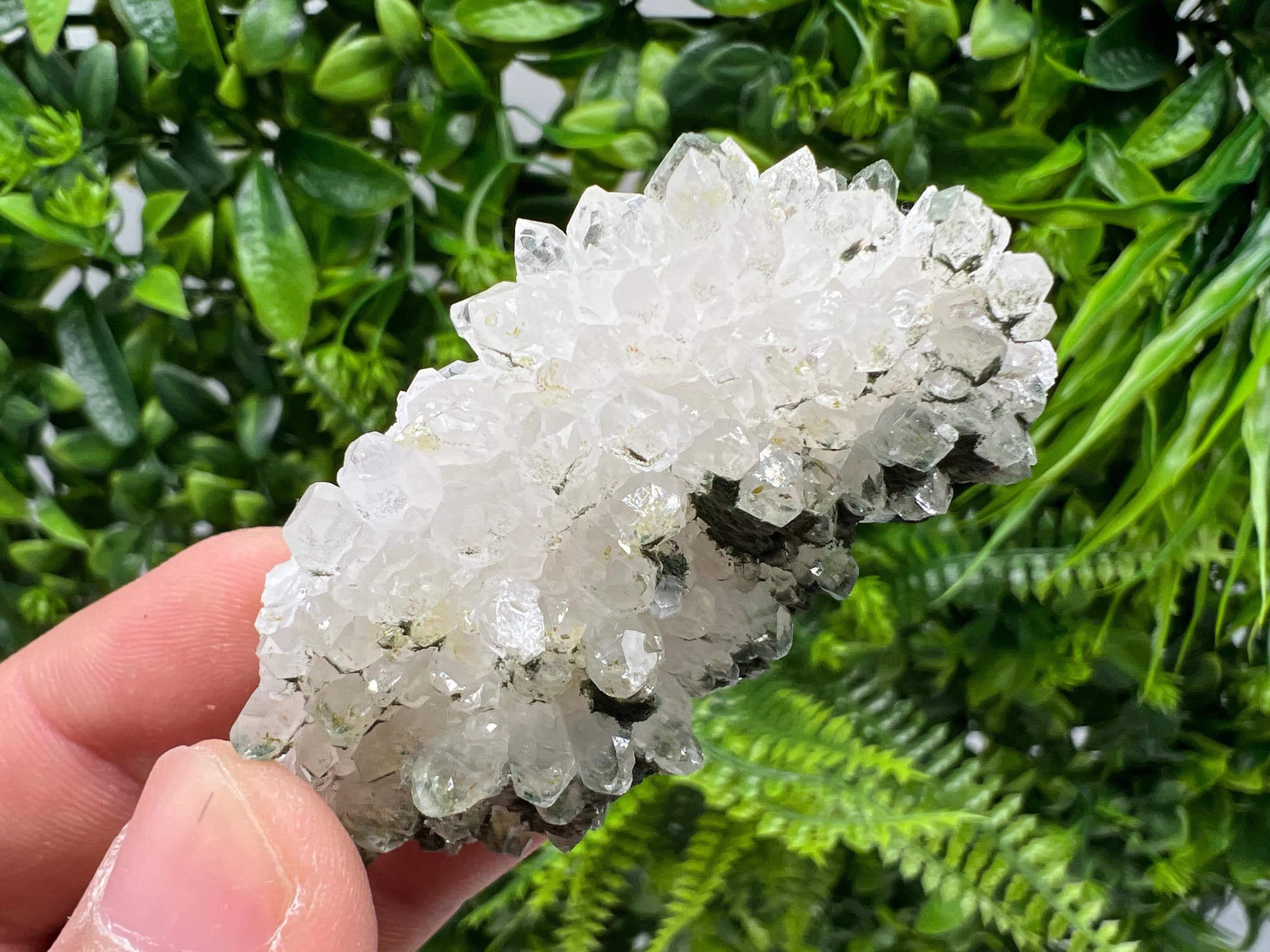 Transparent Quartz on Chlorite Matrix, Borieva Mine Mineral Specimen