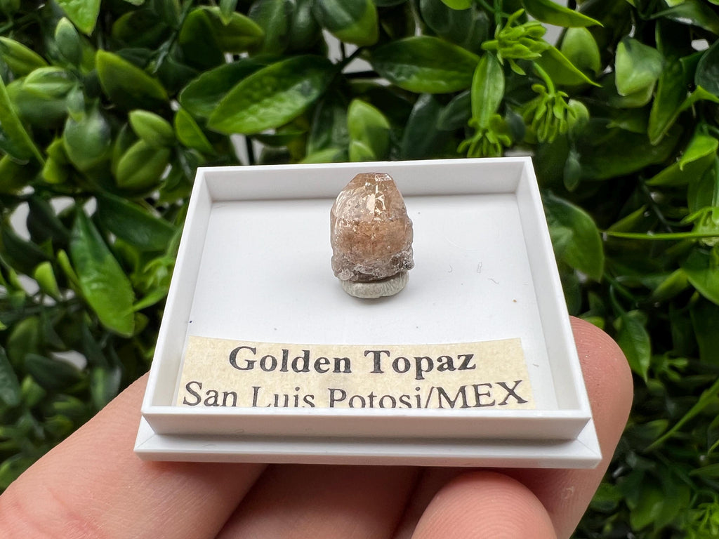 Beautiful Golden Topaz from Mexico,collection piece Crystal,Mineral,collectibles,Collectors, Natural Crystal, Minerals from Mexico,original,