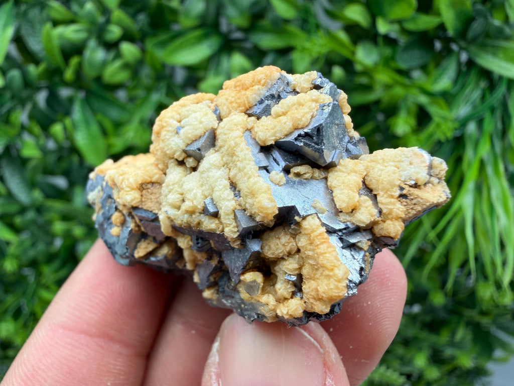 Skeletal Galena with Dolomite: Krushev Dol Mine, Bulgaria