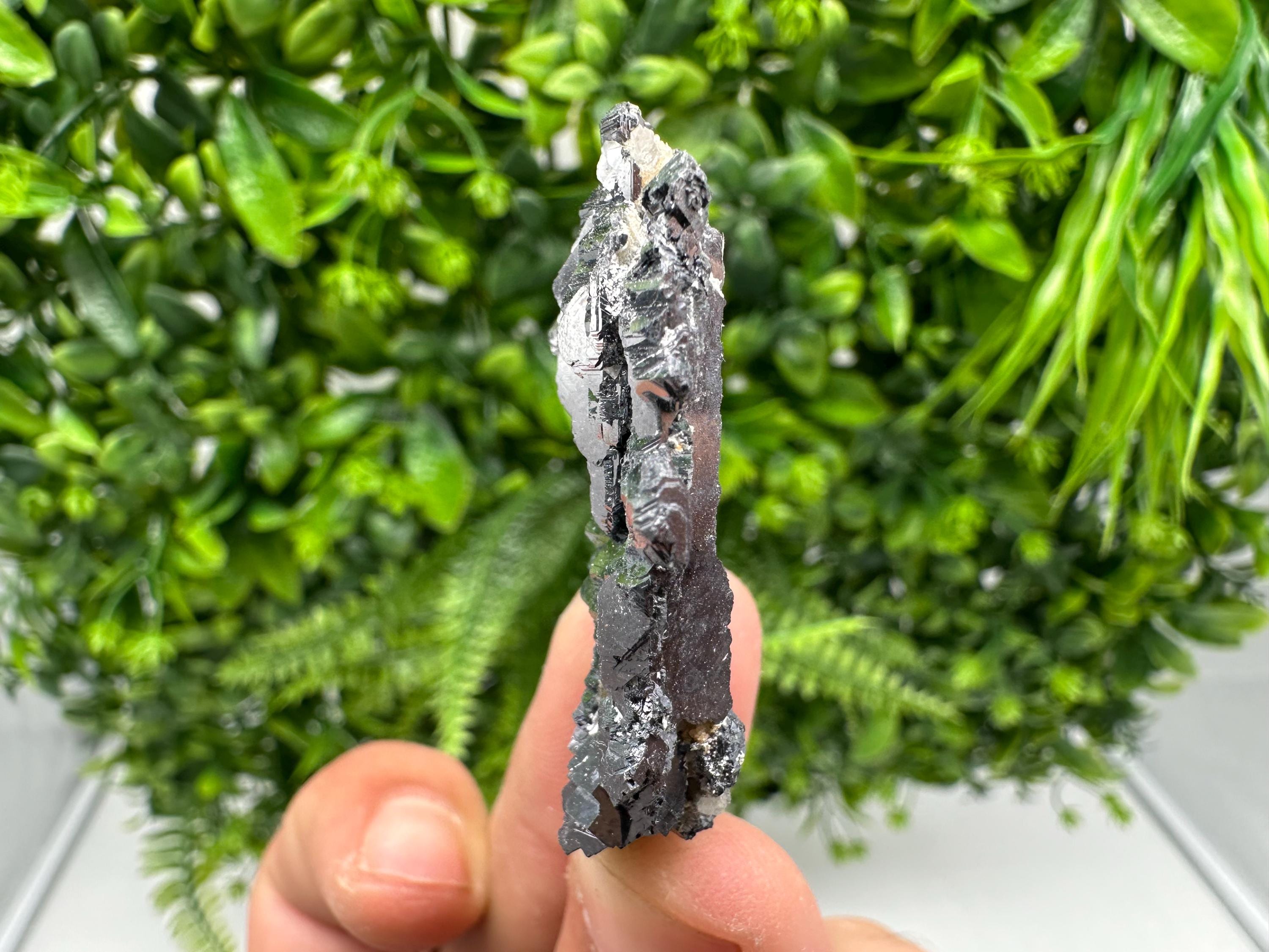 Galena Spinel Law Mineral Specimen: Krushev Dol, Bulgaria