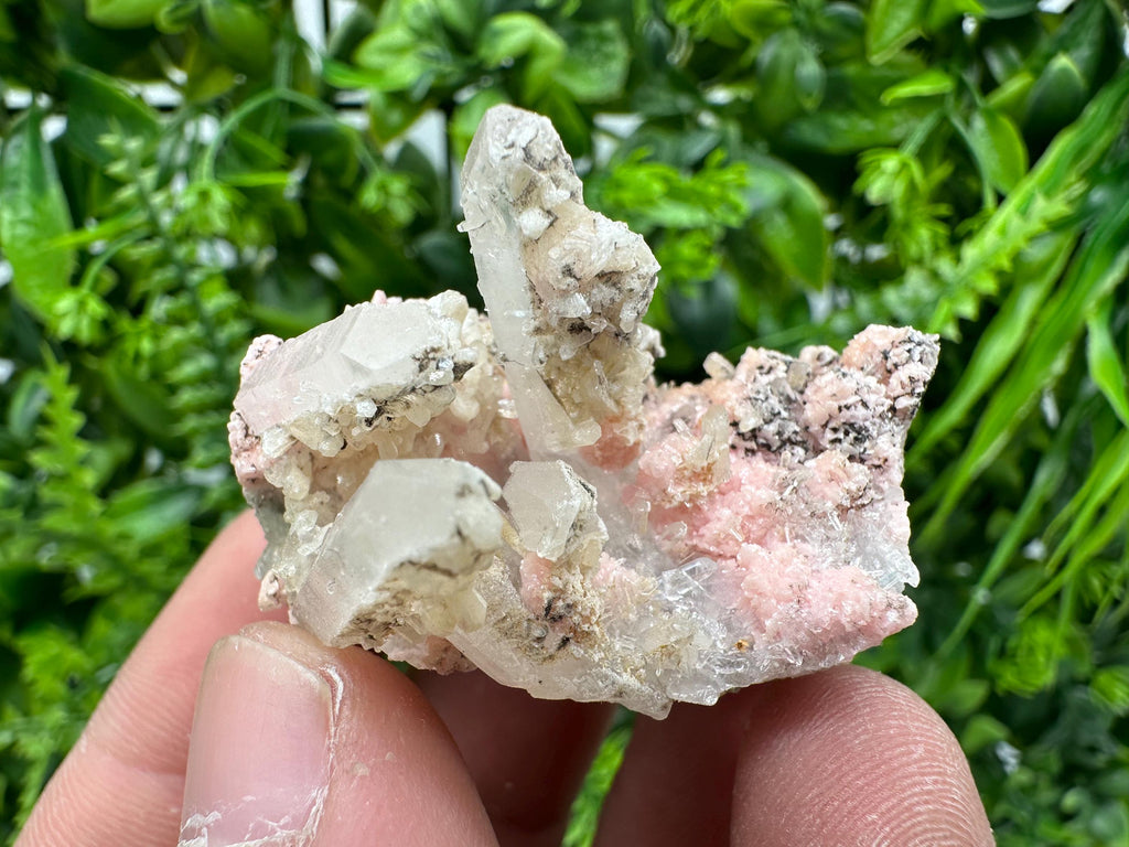 Pink Rhodochrosite Crystal: Starnica Mine, Bulgaria, Home Decor