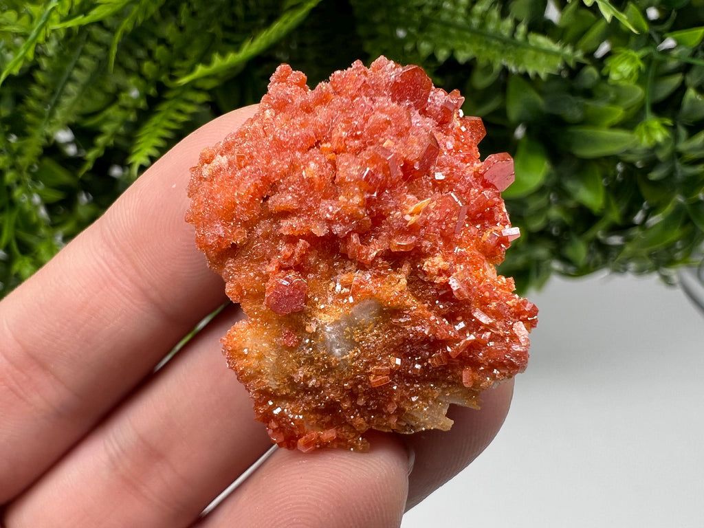 Red Vanadinite Crystal Cluster on Barite, Morocco Mineral Specimen