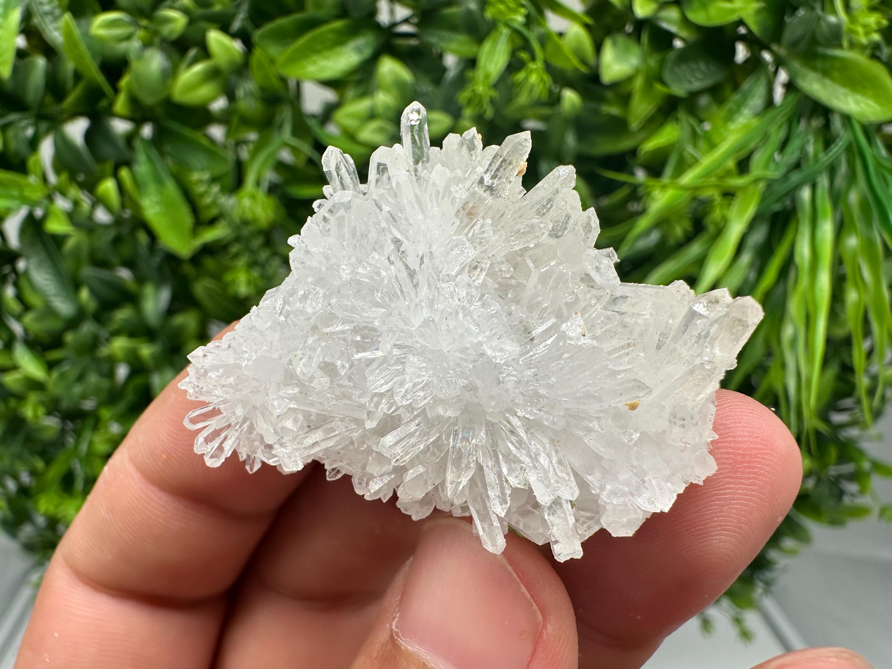 Transparent Quartz on Chlorite Matrix, Borieva Mine, Bulgaria