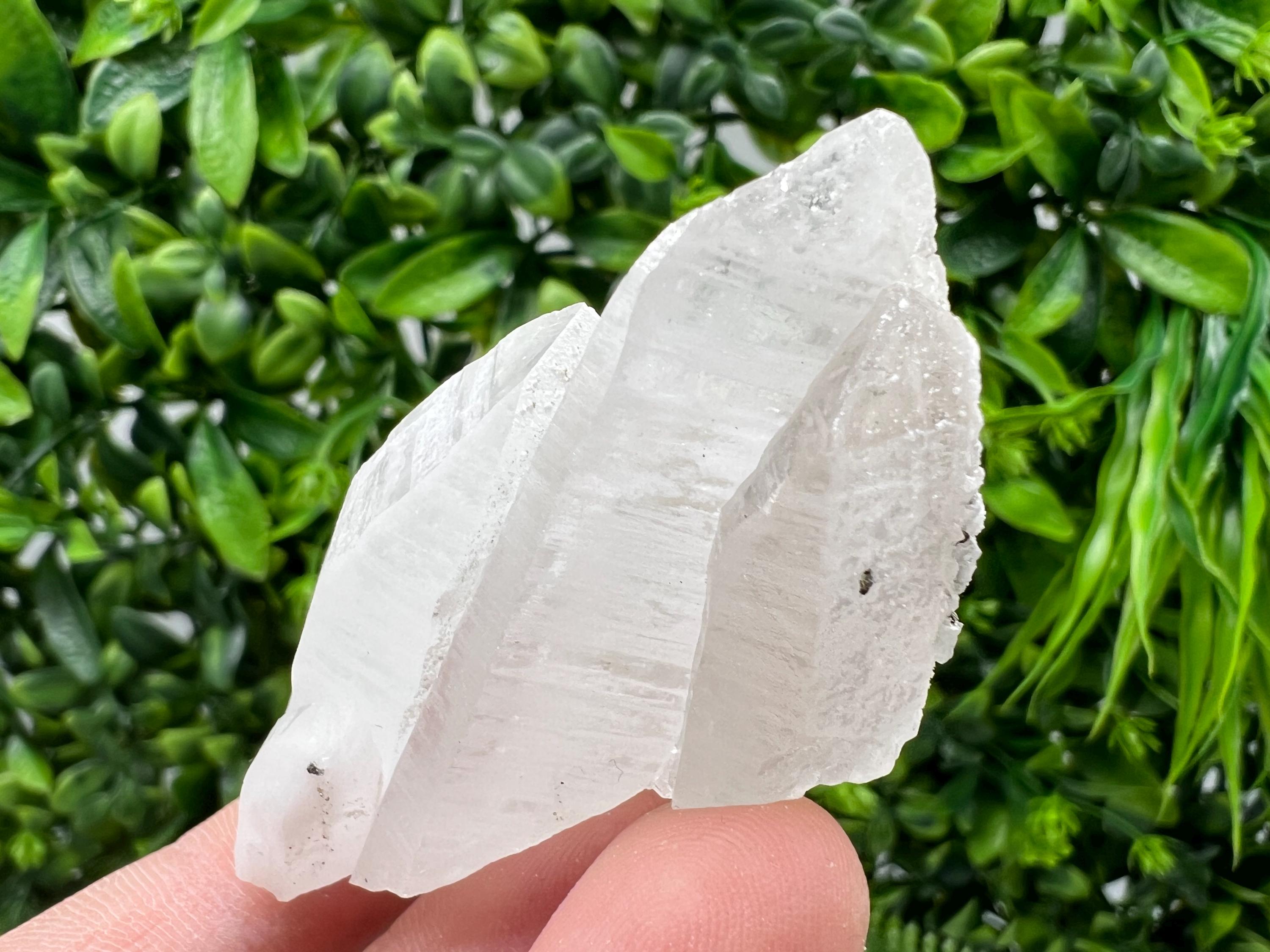 Quartz with Pyrite Mineral Specimen: Krushev dol, Bulgaria