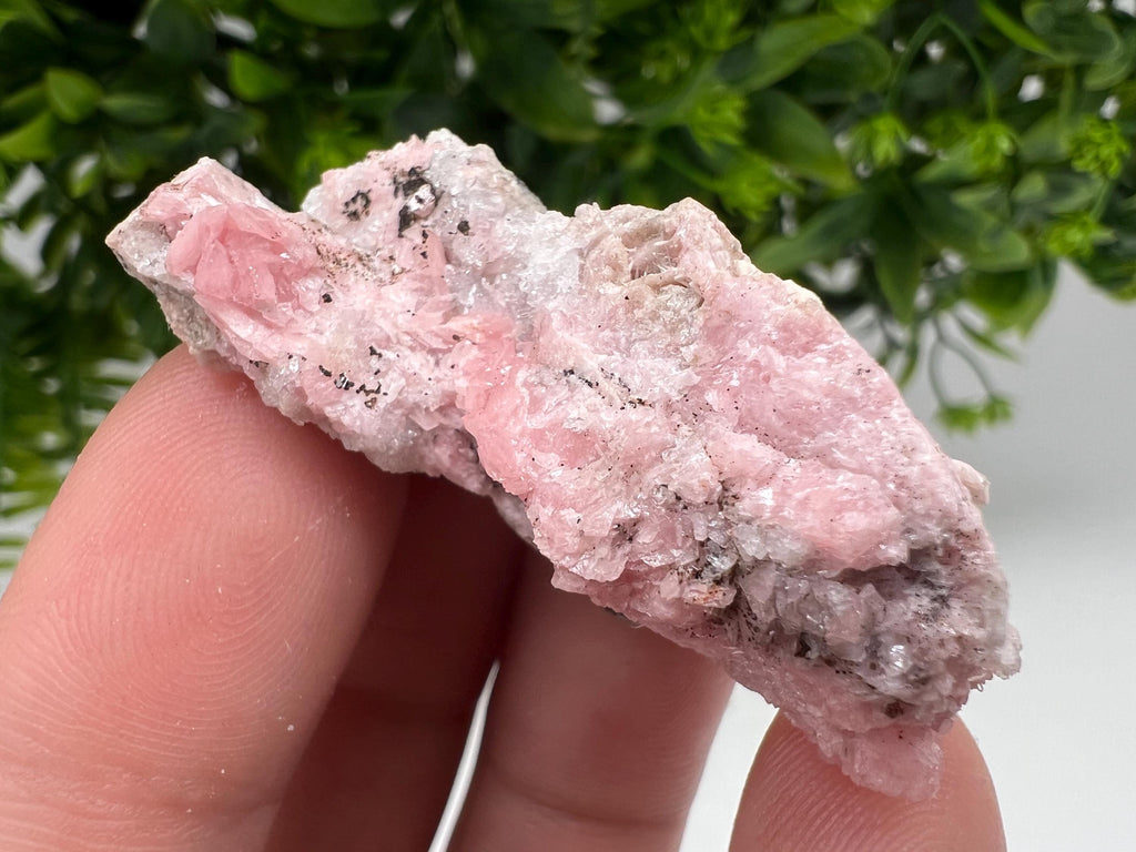 Beautiful Rhodochrosite on Quartz,pink minerals,Starnica Mine,Davidcovo,Bulgaria natural minerals,collection crystal,gift home decor,collec