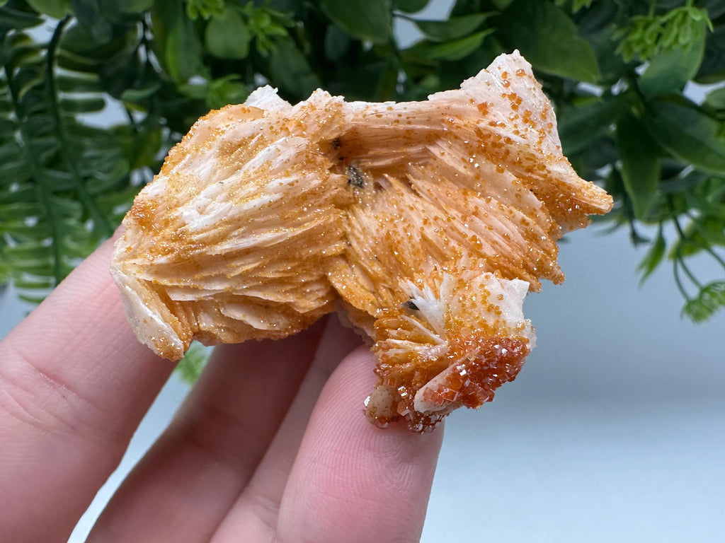 Red Vanadinite on Barite Crystal Specimen, Moroccan Mineral Cluster