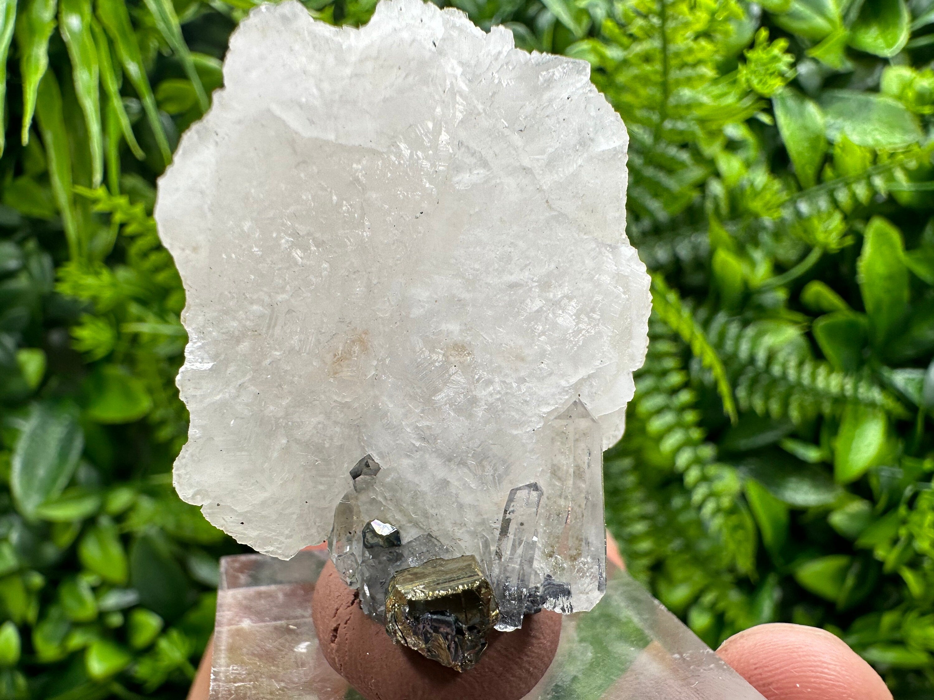 Mangano Calcite Wing on Quartz with Pyrite, Madan Bulgaria Mineral Specimen