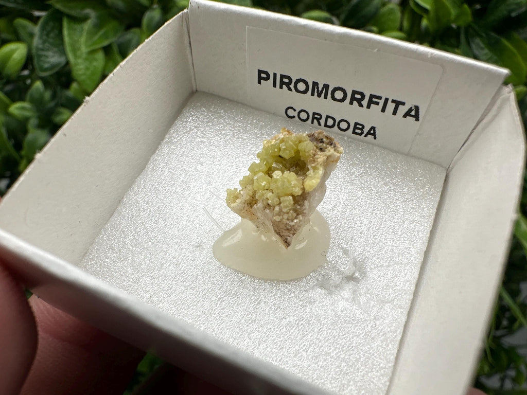 Raw Pyromorphite Crystal Cluster on Matrix, Mini Specimen