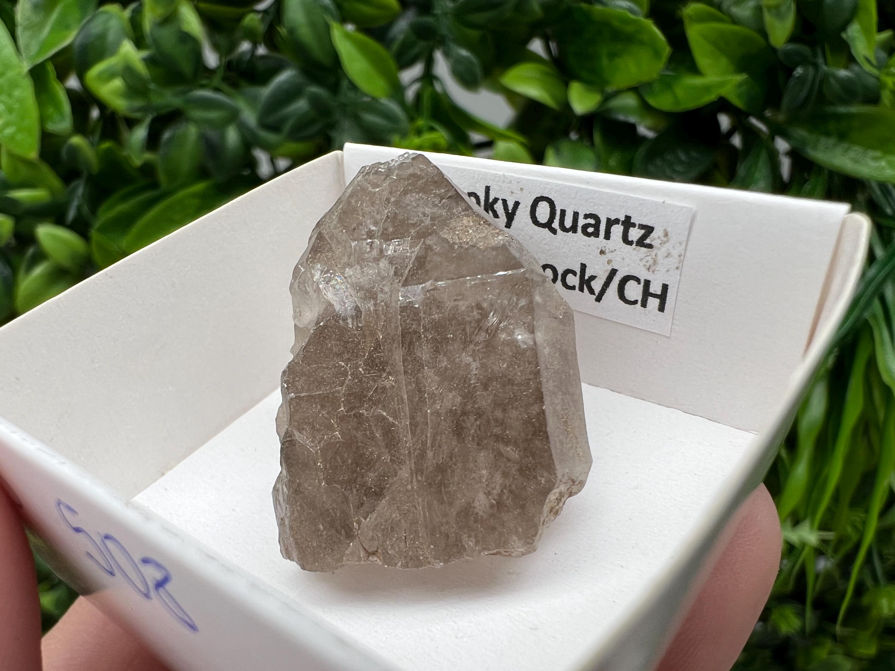 Rare Smoky Quartz from Fedenstock (mountain) Switzerland,Mineral,Specimen,Collection,Black Quartz,Mineral,Home,Smoky Quartz,Quartz point