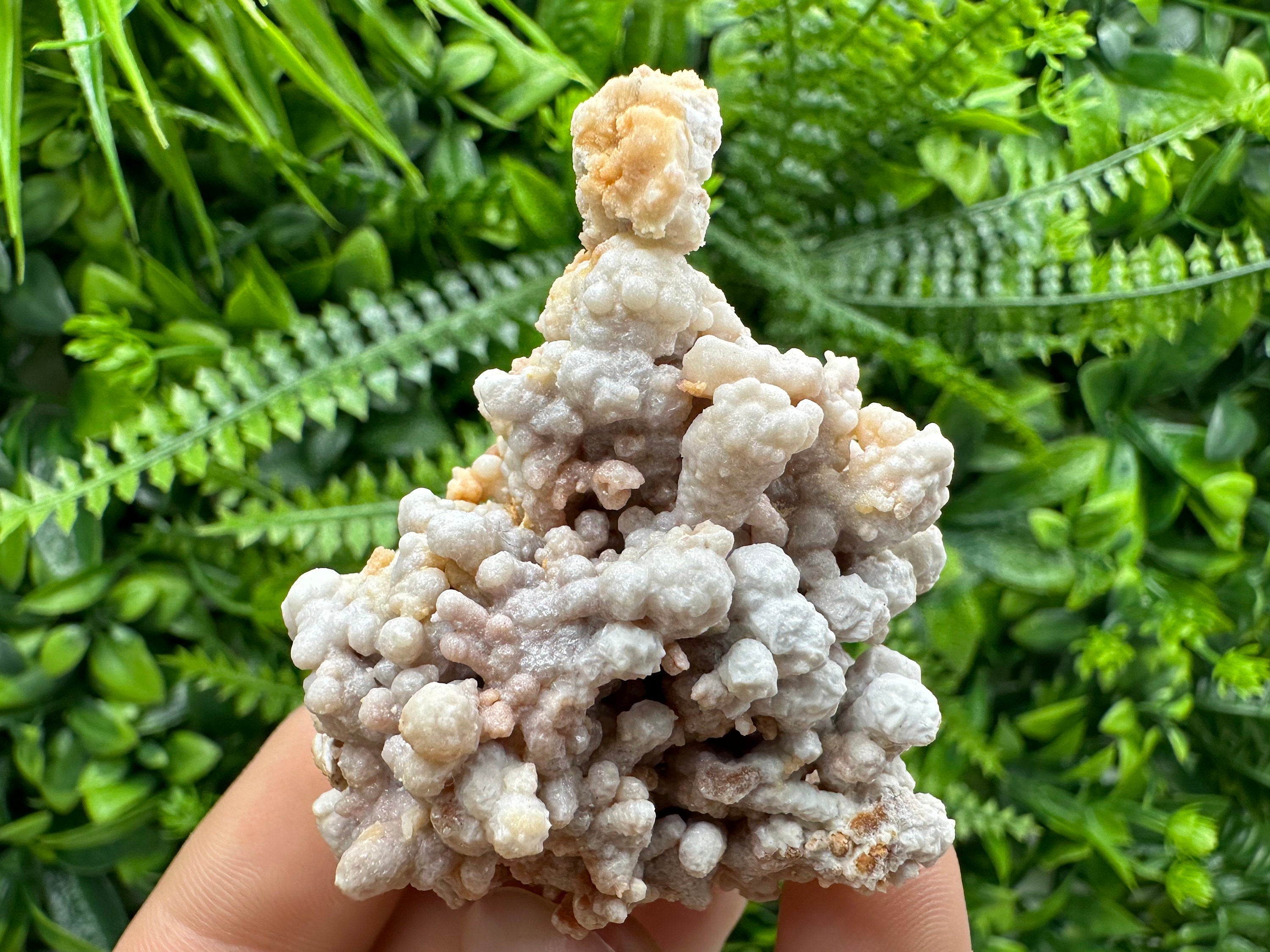 Dimitrovgrad Aragonite Cluster, Bulgaria Mineral Specimen (5/5/5cm)