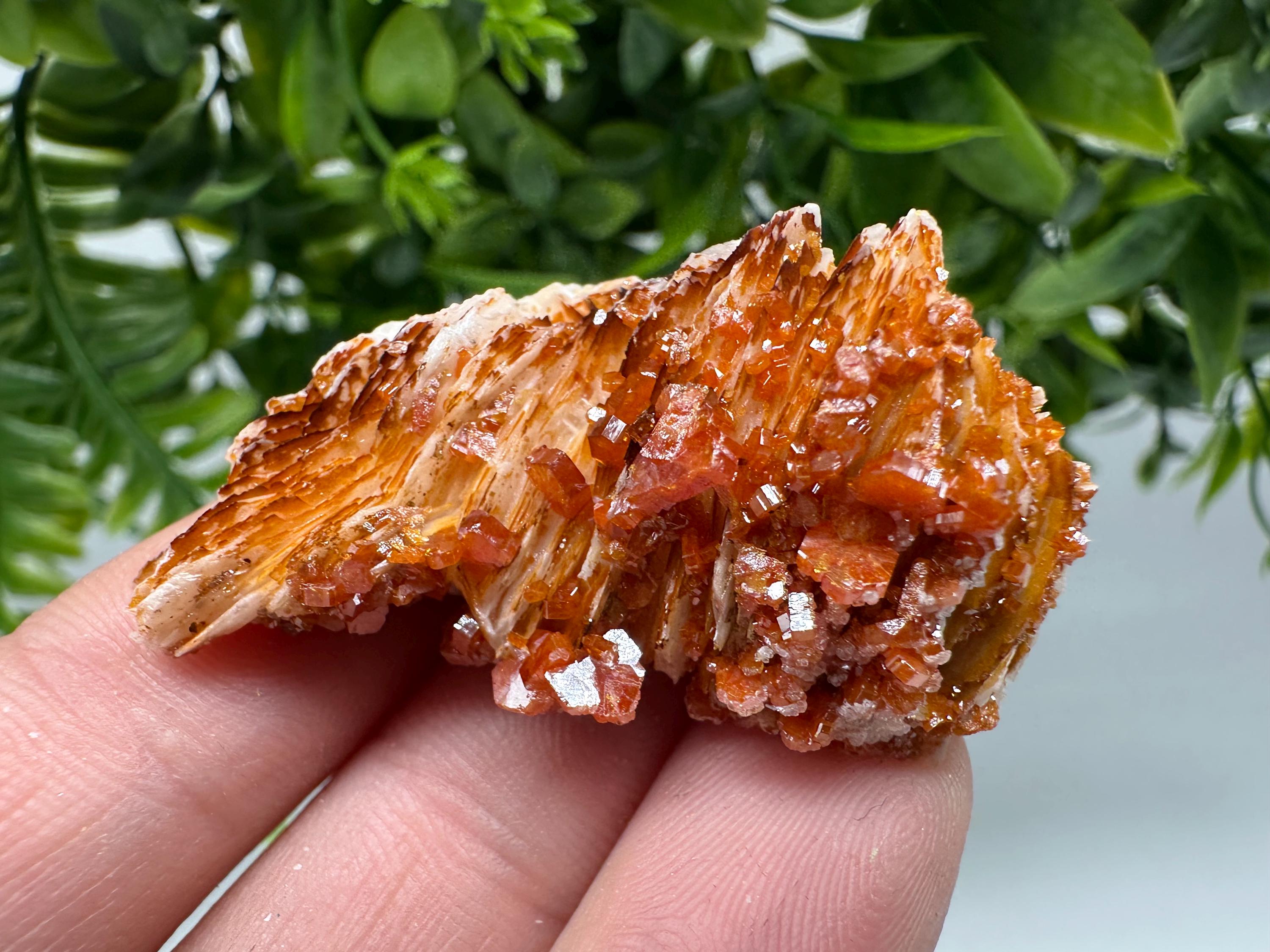 Red Vanadinite Crystal Cluster on Barite, Morocco Mineral Specimen